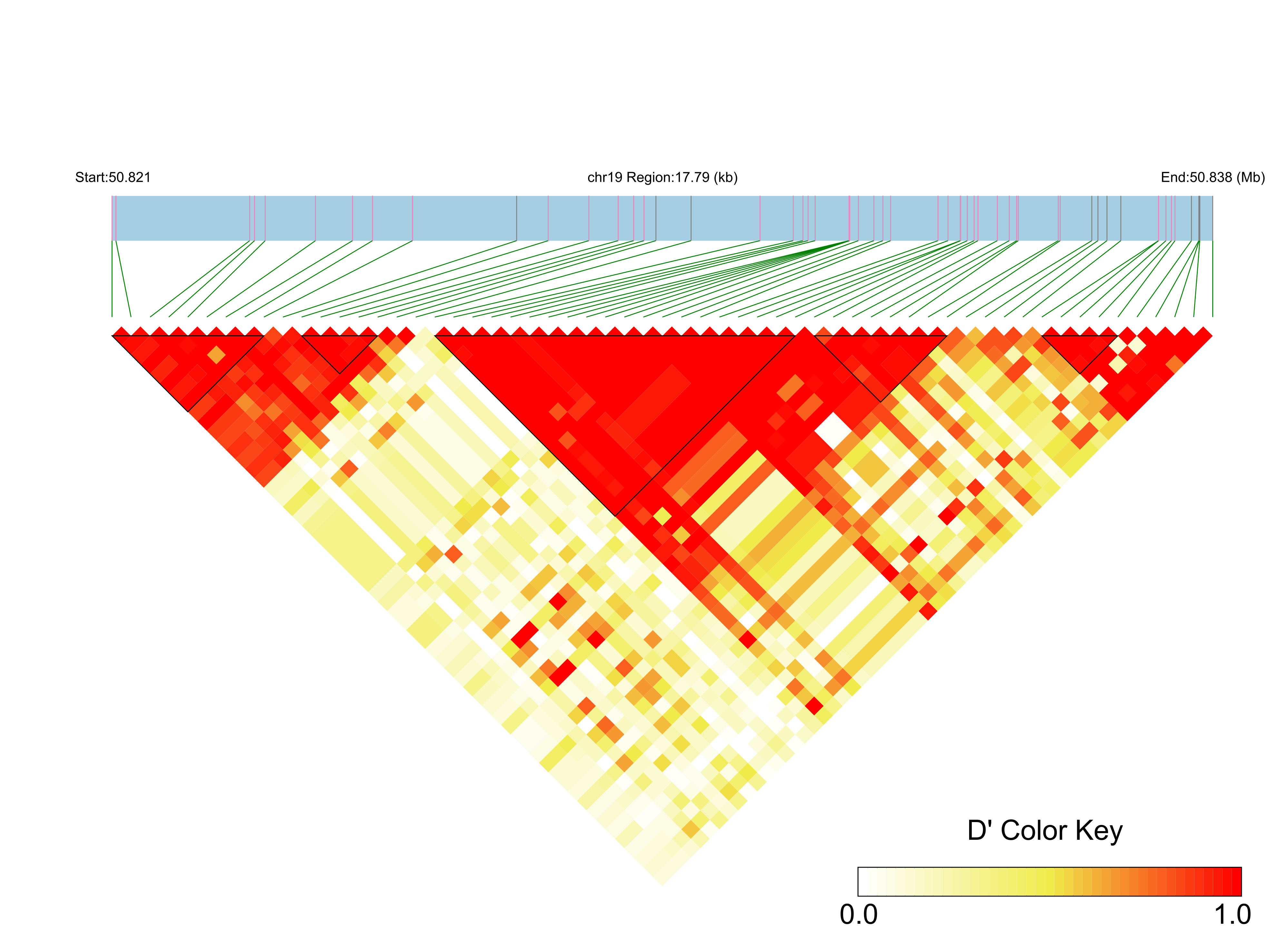 LD