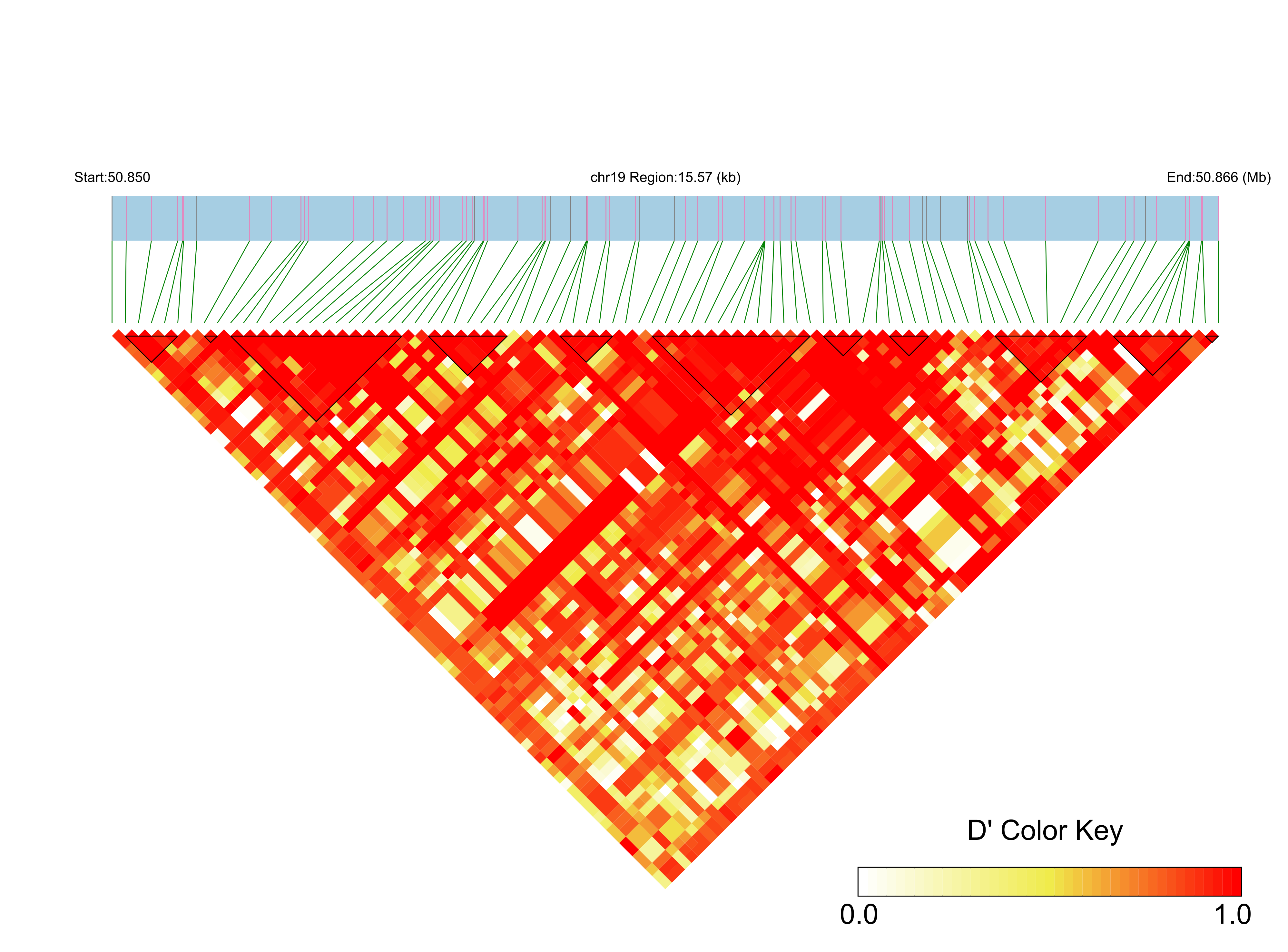 LD