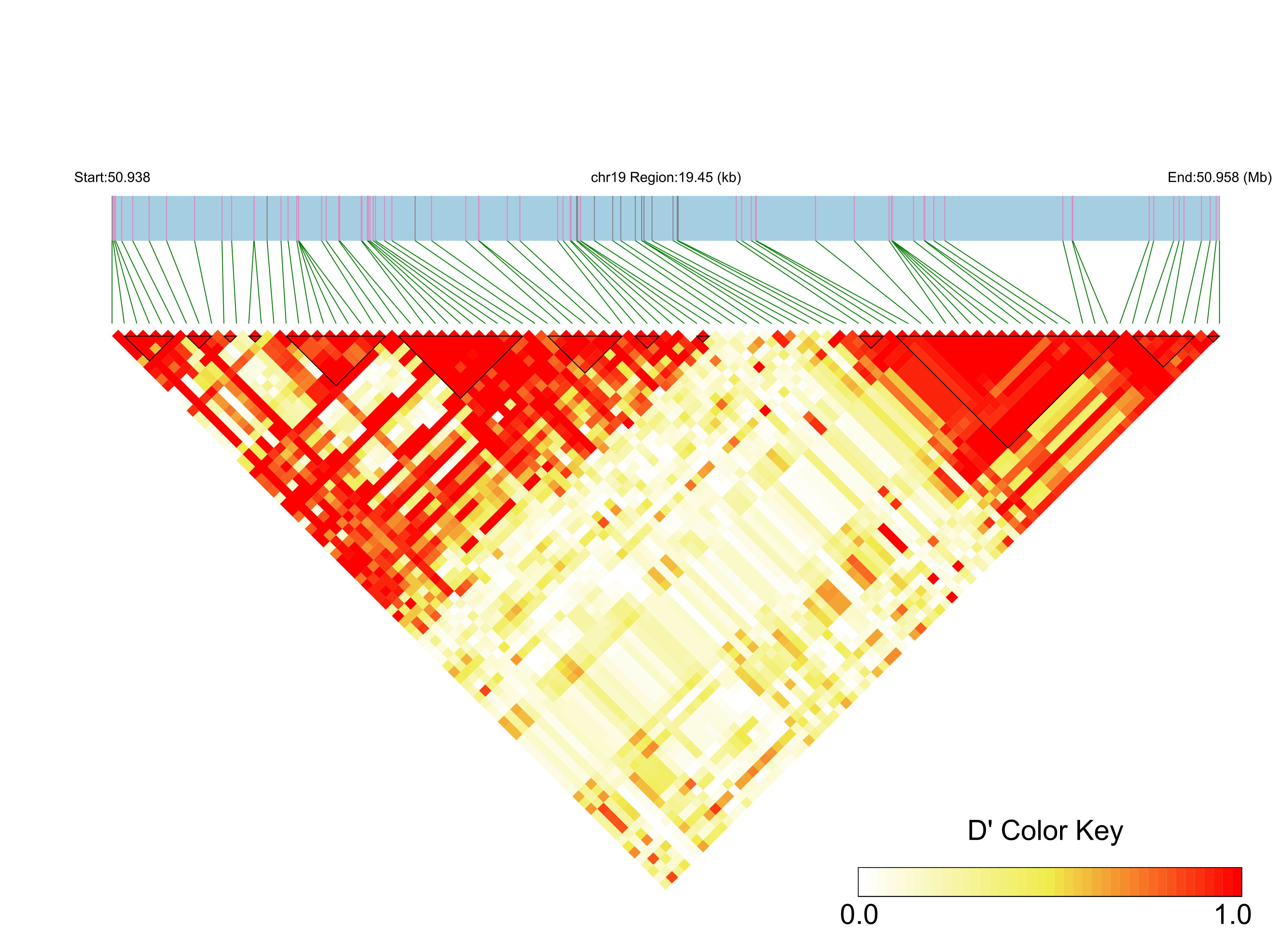 LD