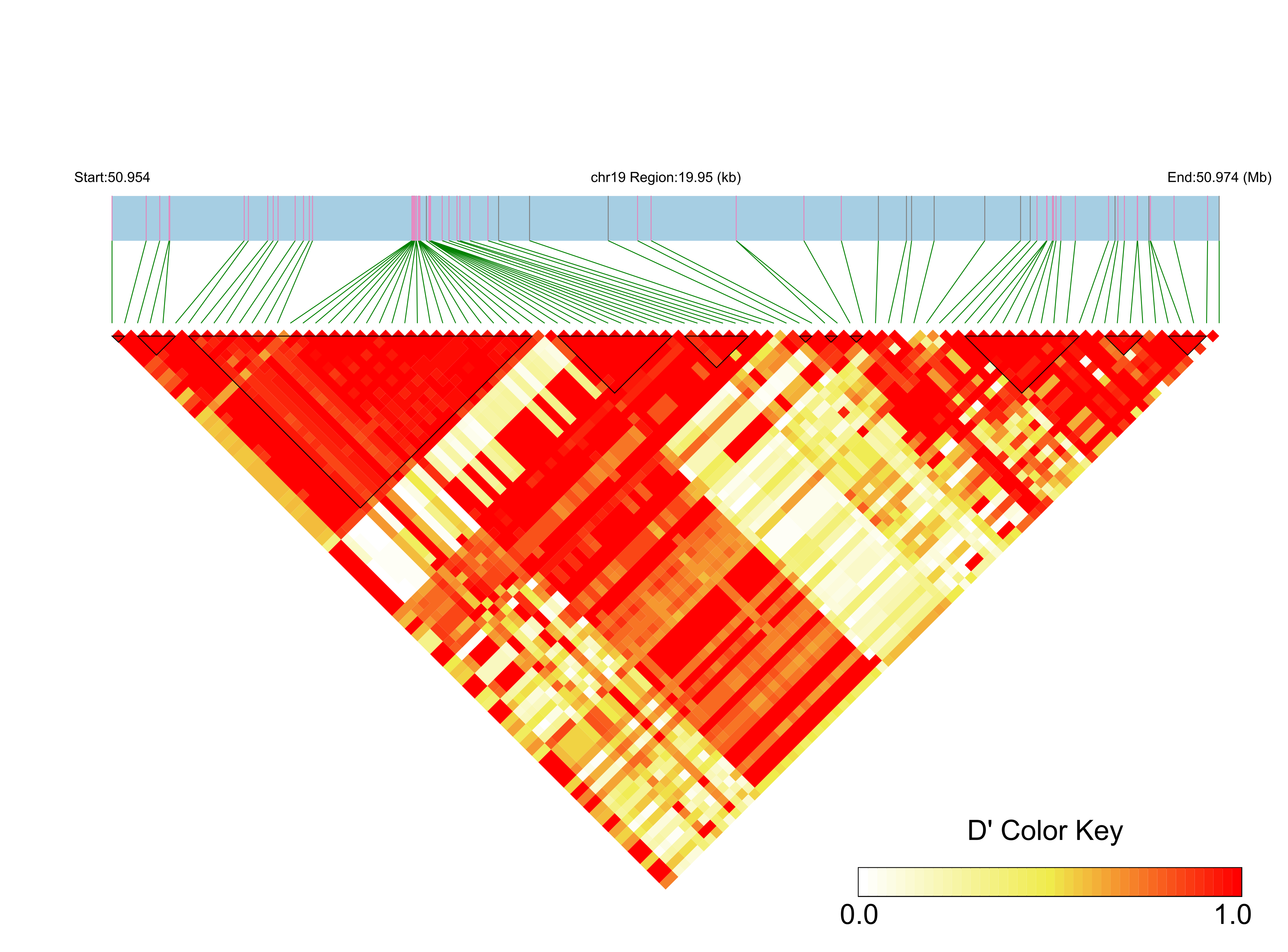 LD