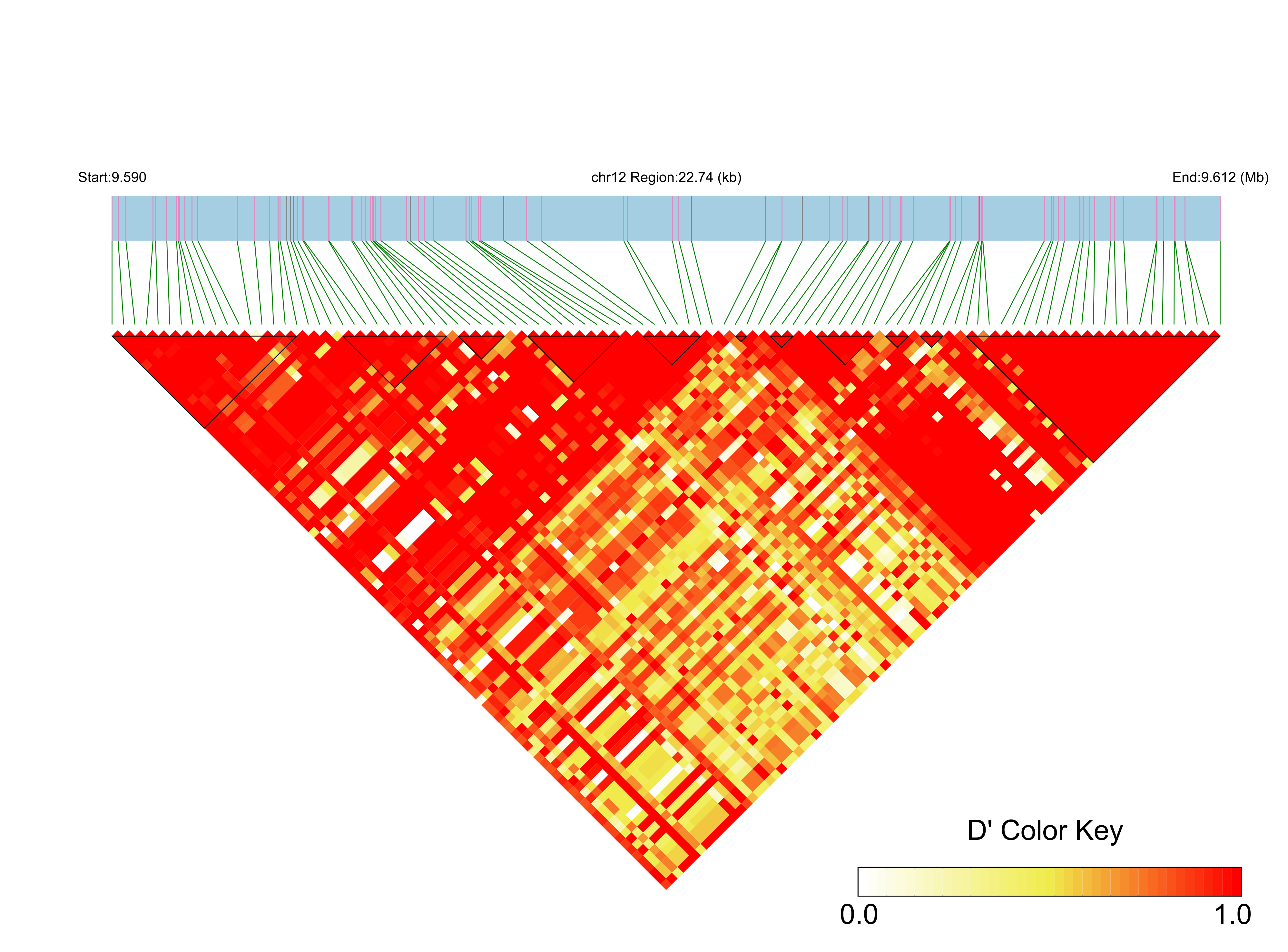 LD