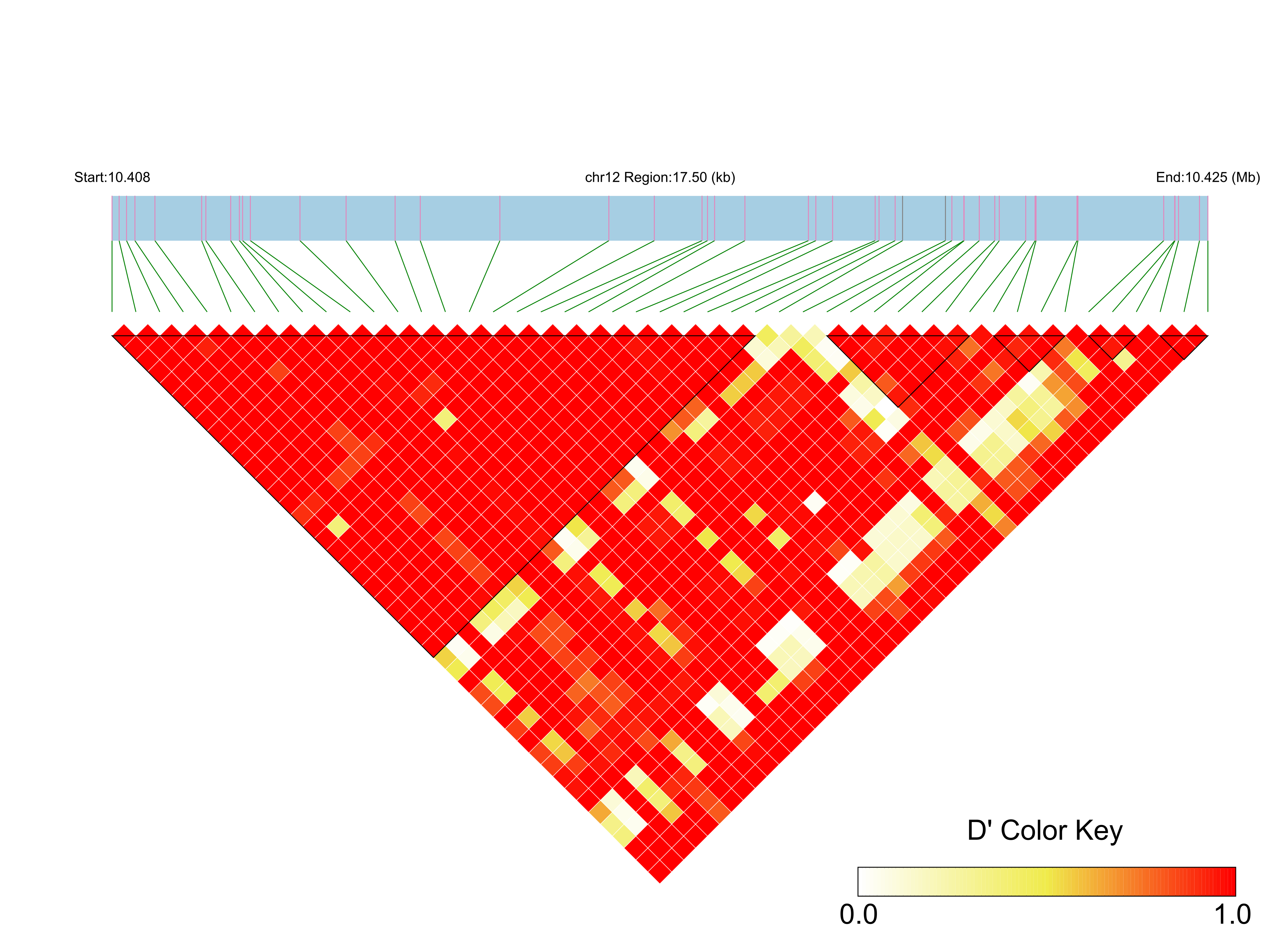 LD