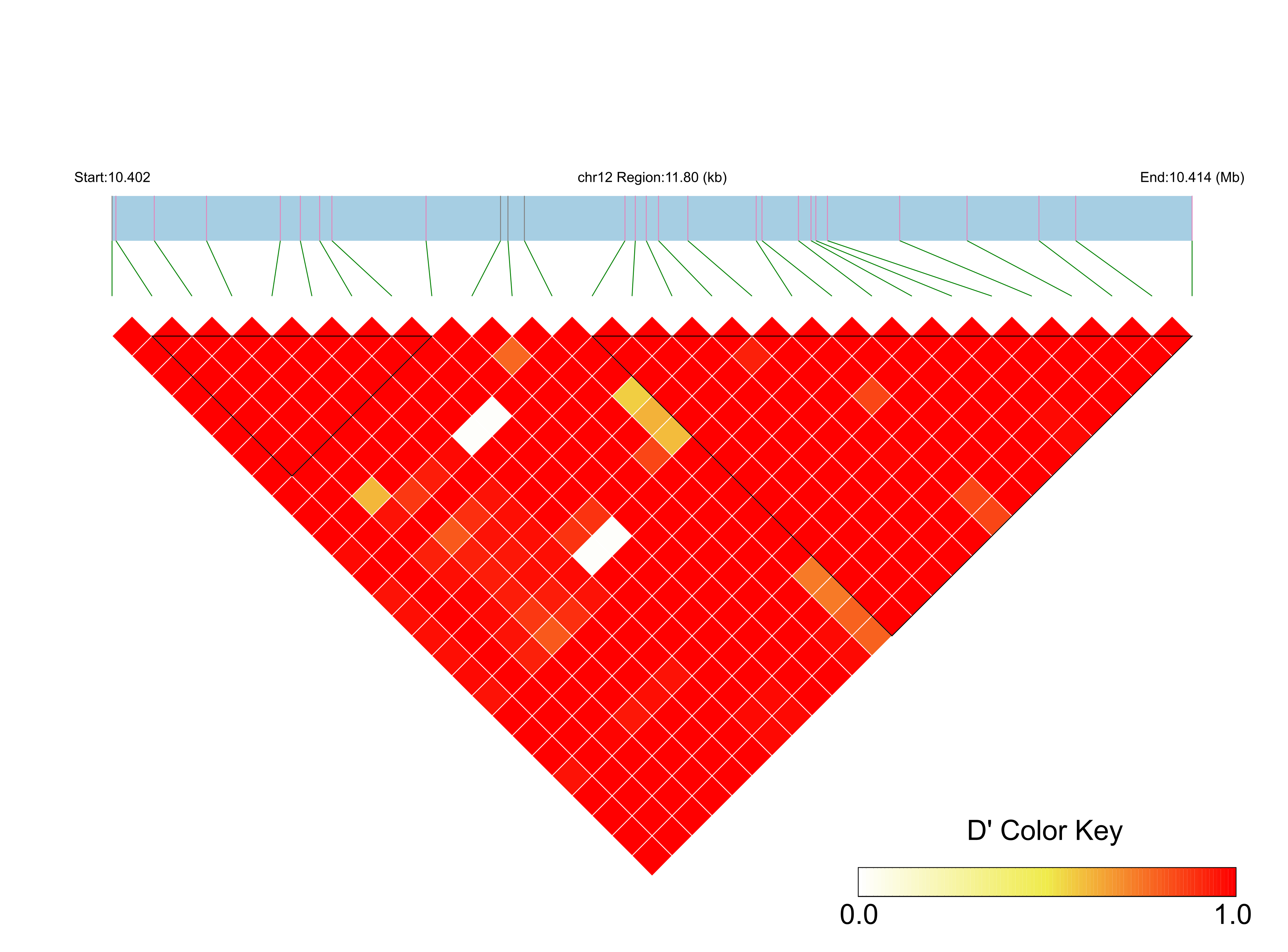 LD