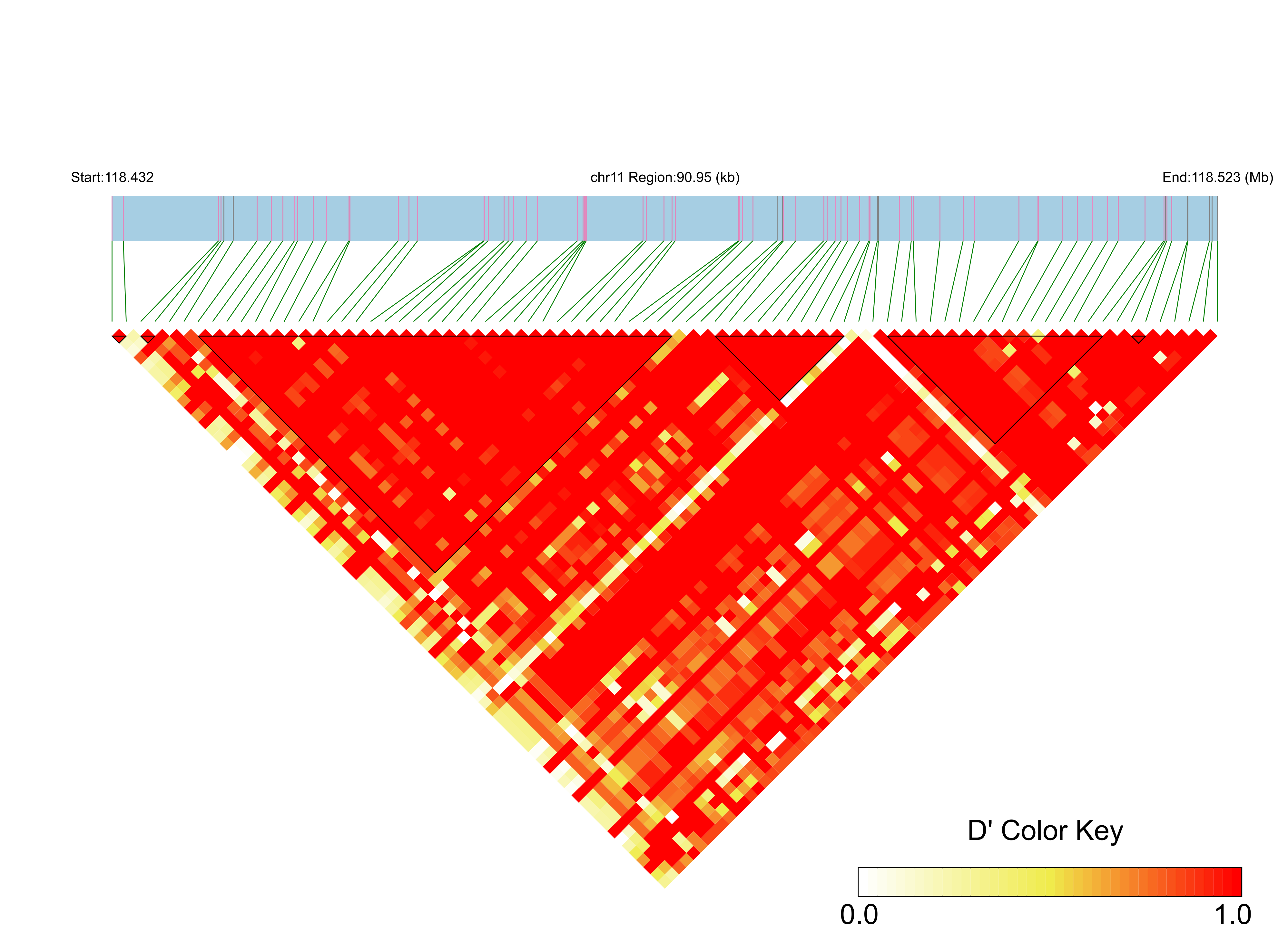 LD