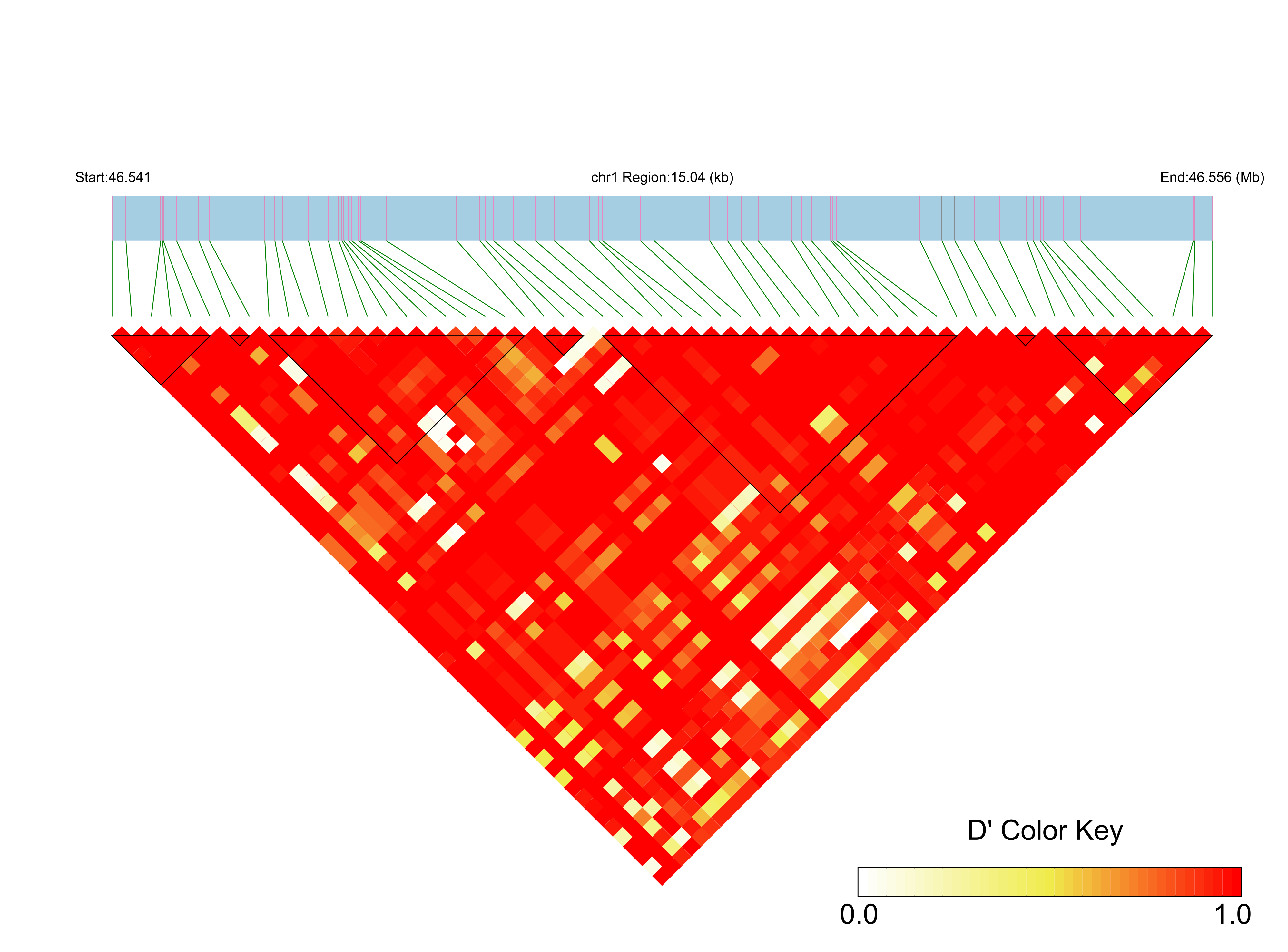 LD