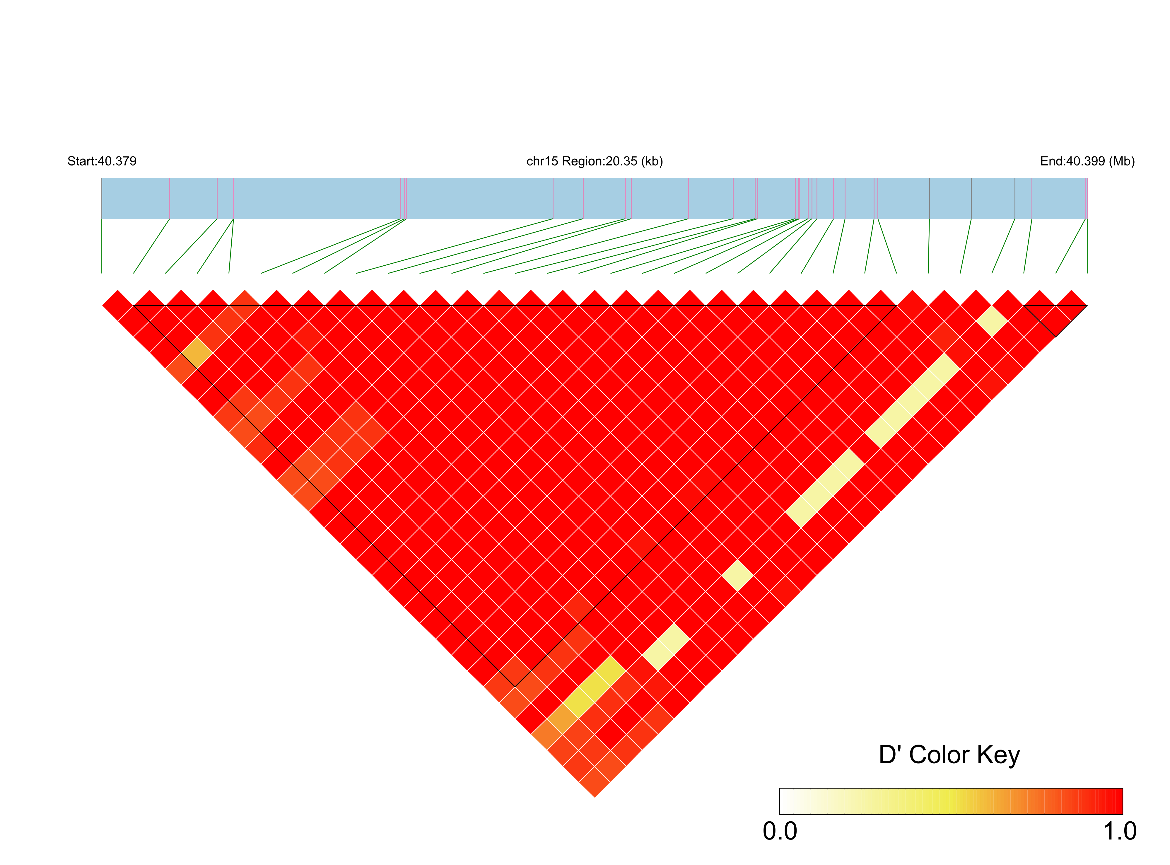 LD