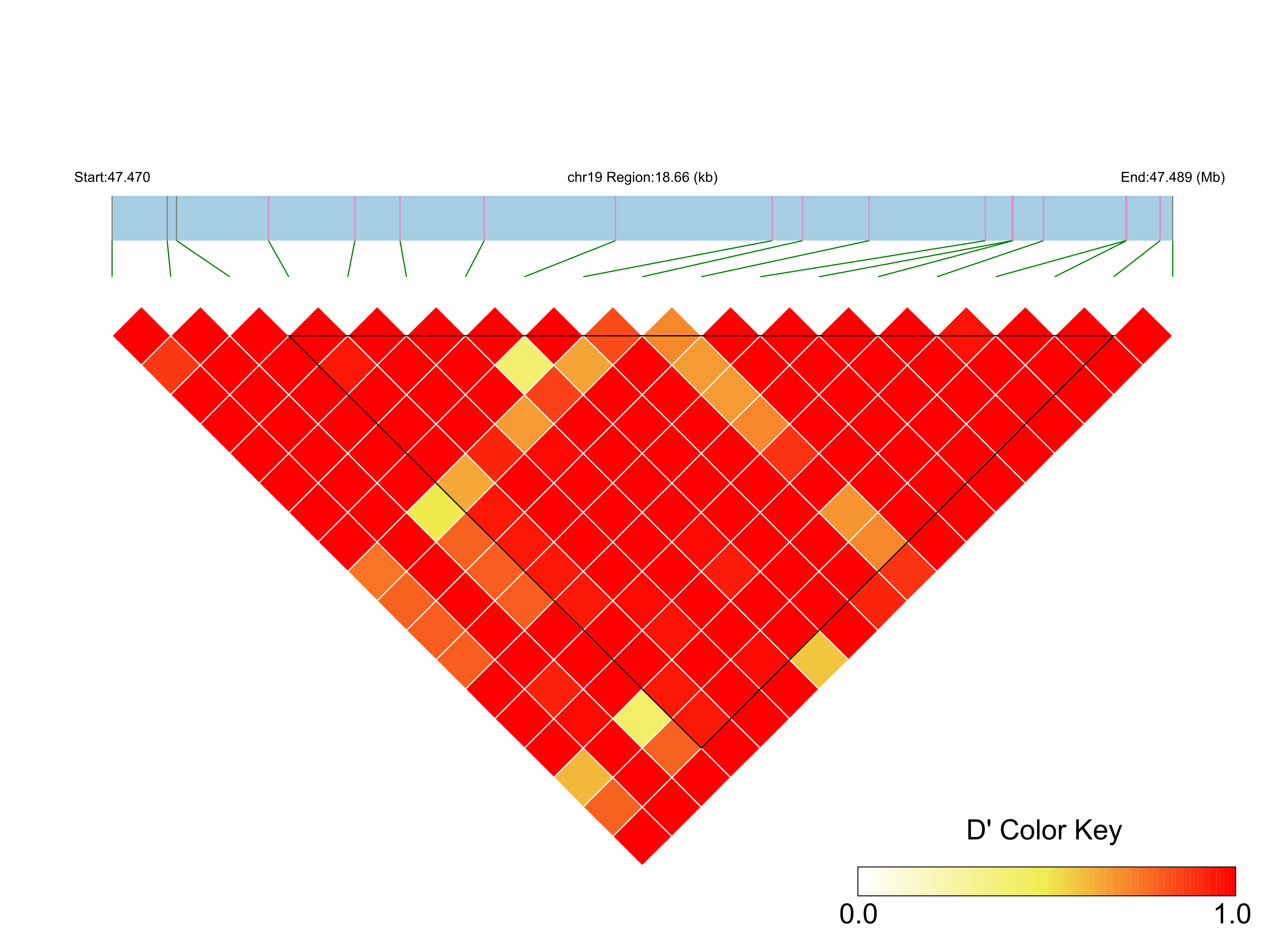 LD