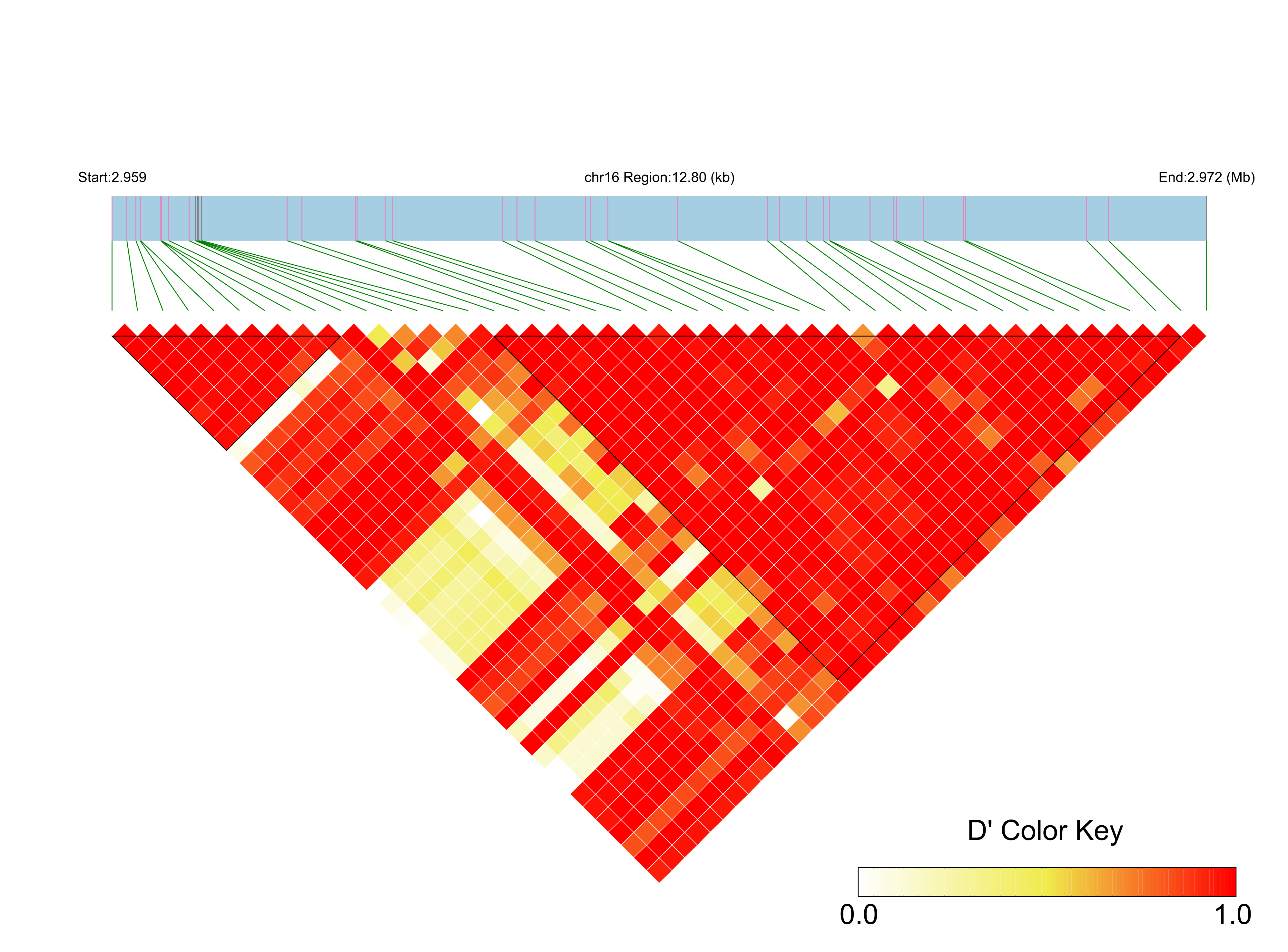 LD