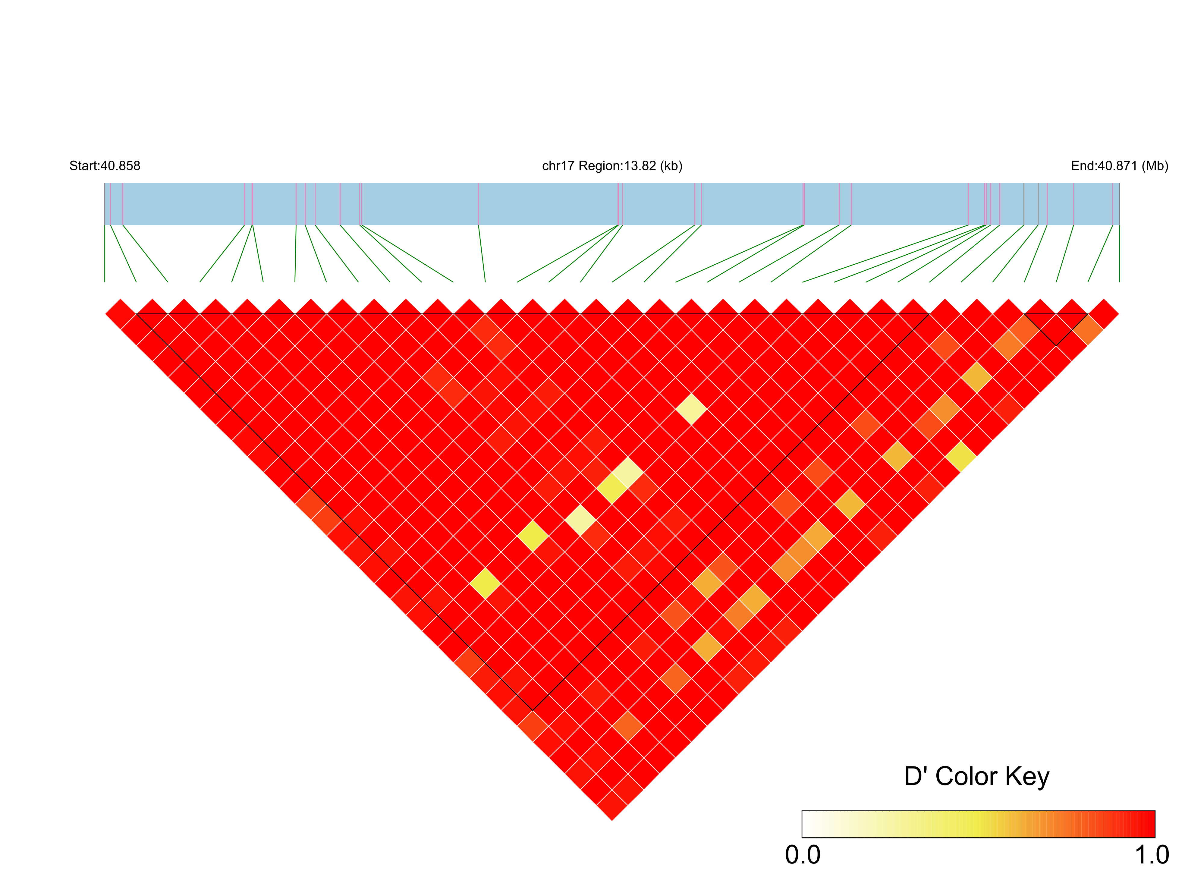 LD