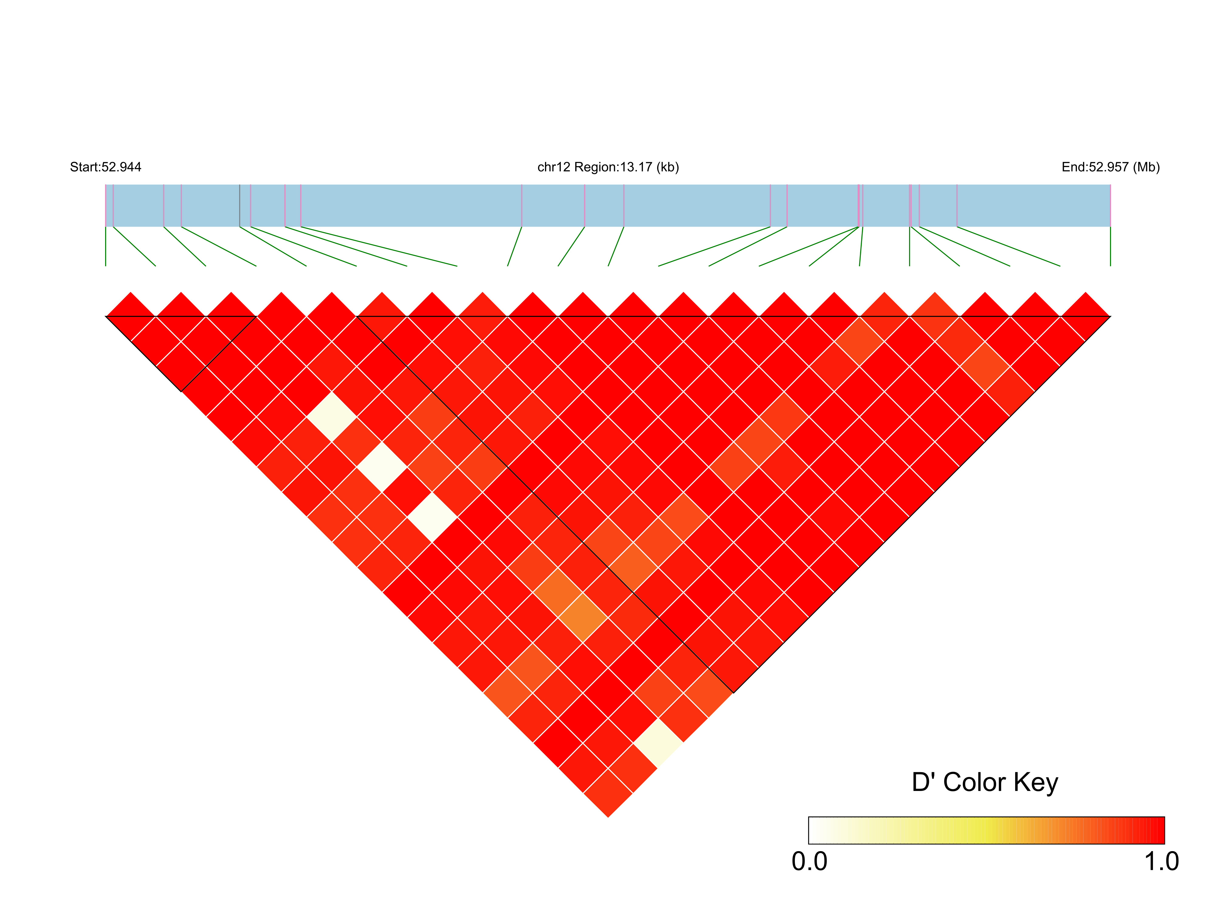 LD