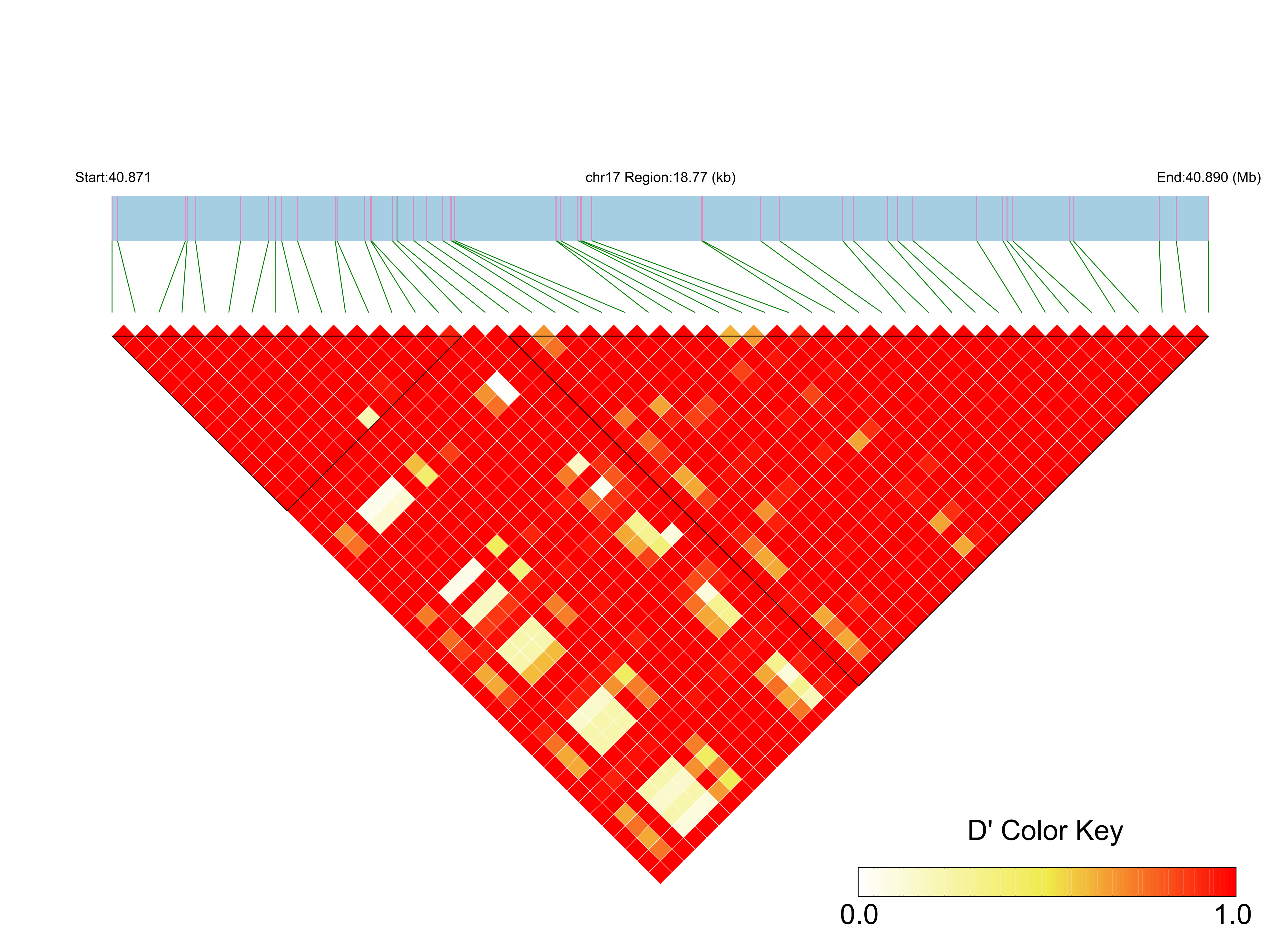 LD