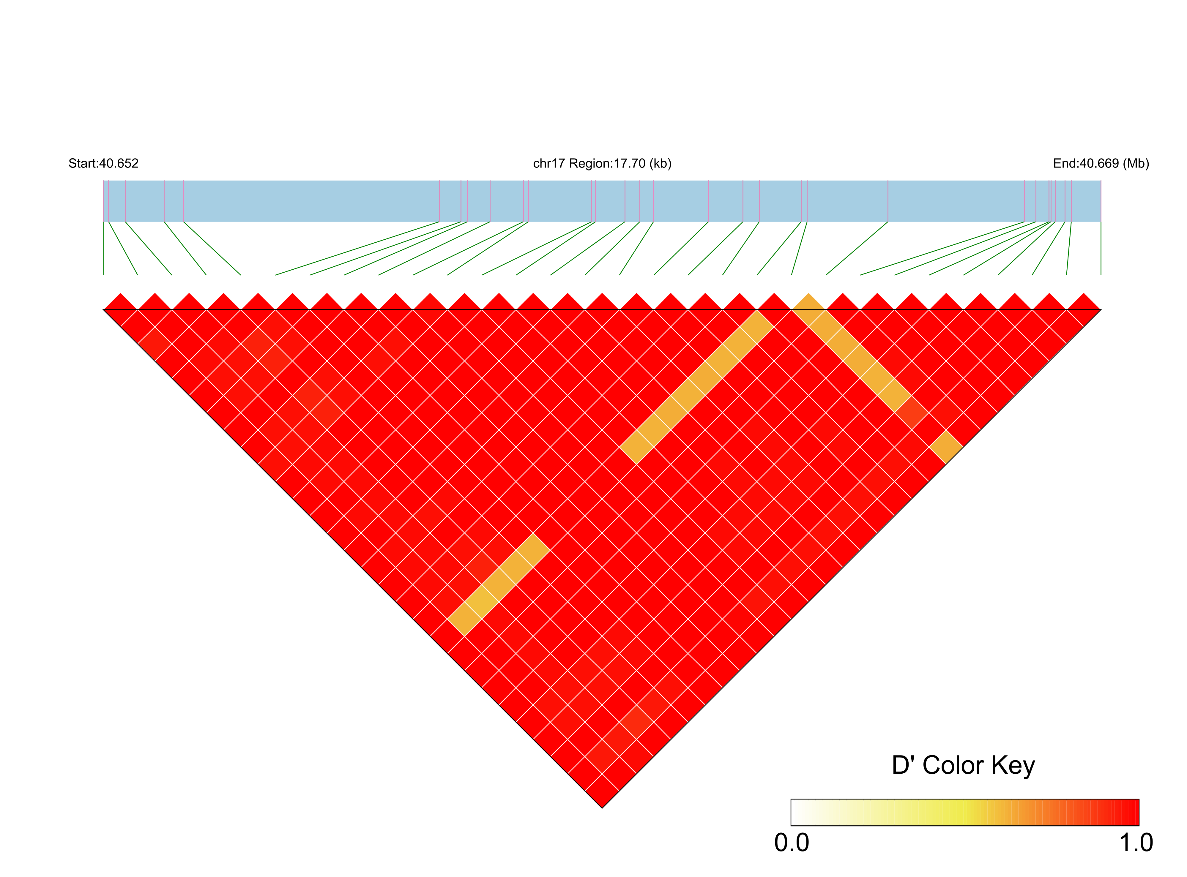 LD