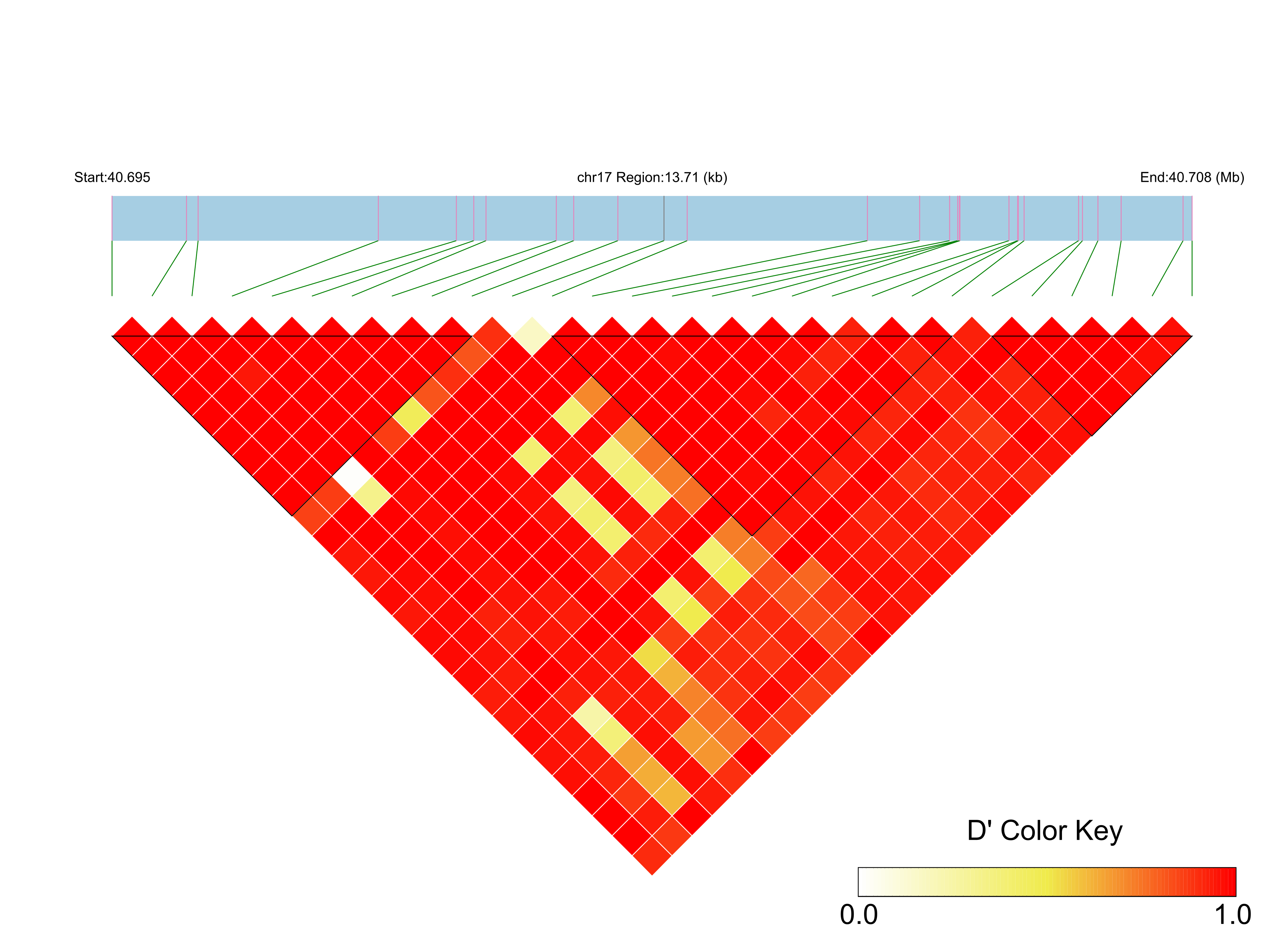 LD