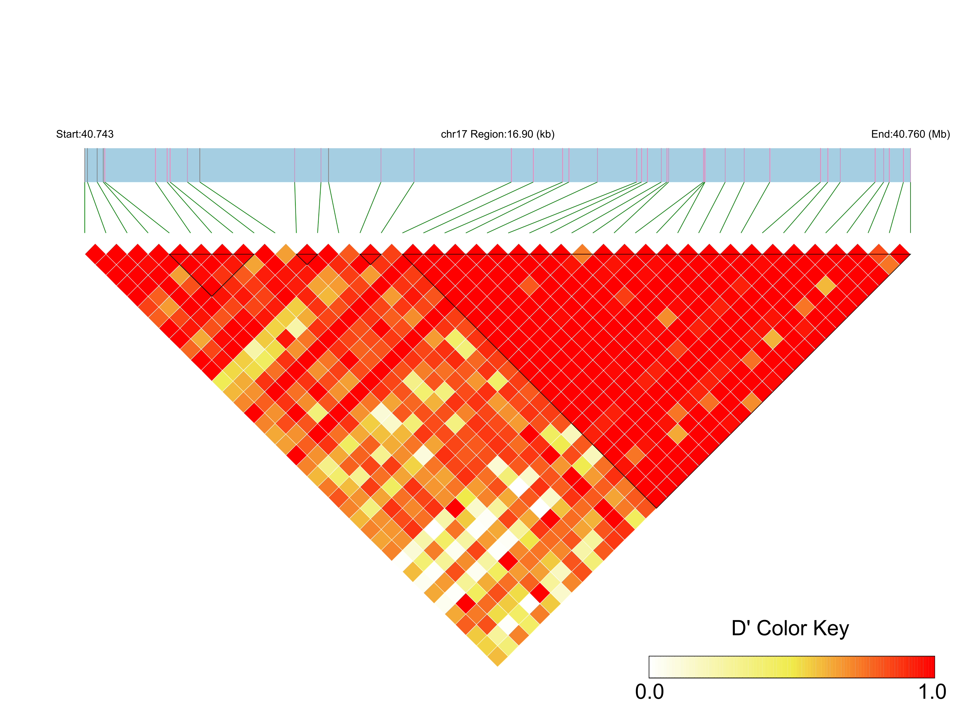 LD