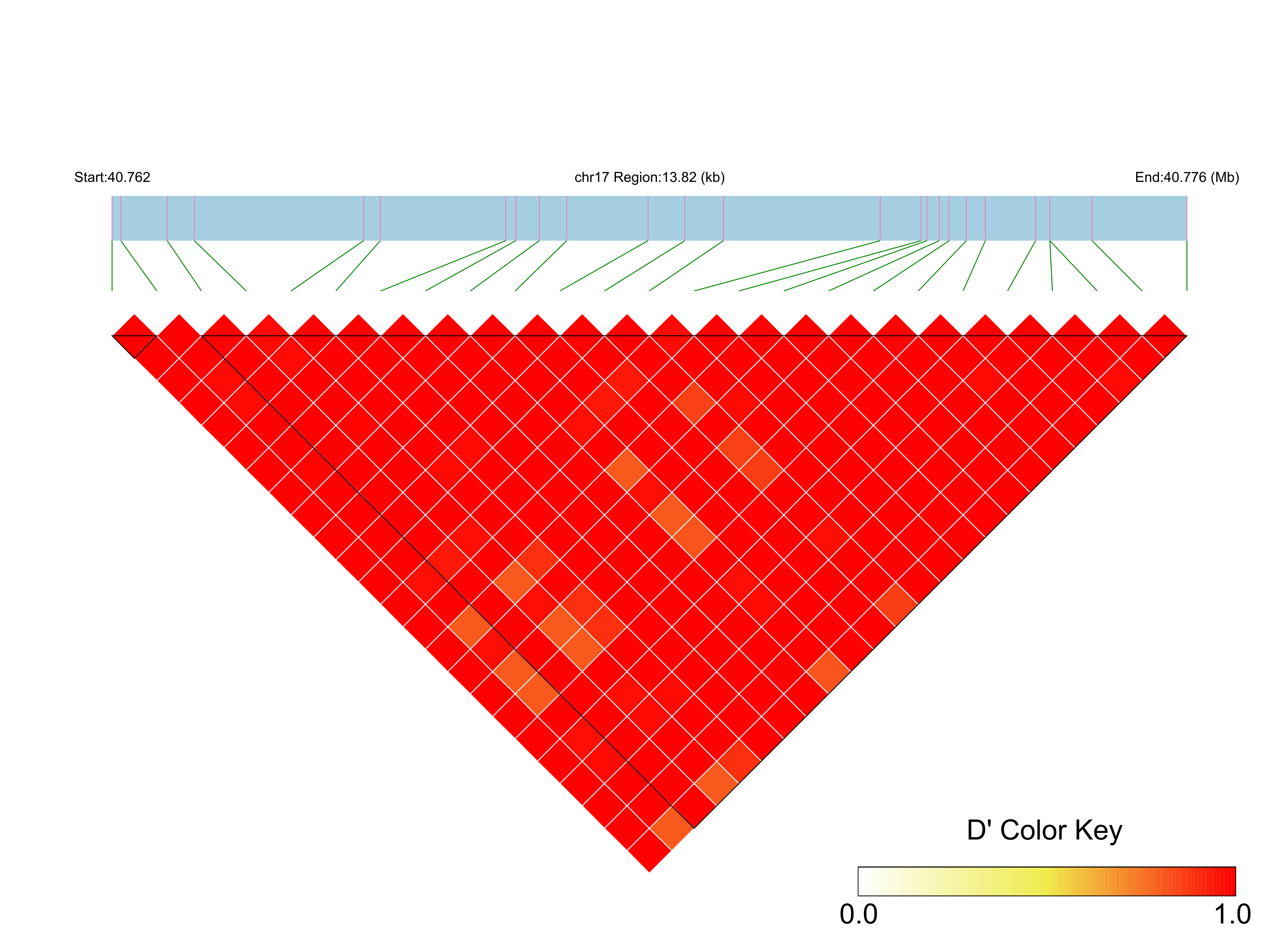 LD