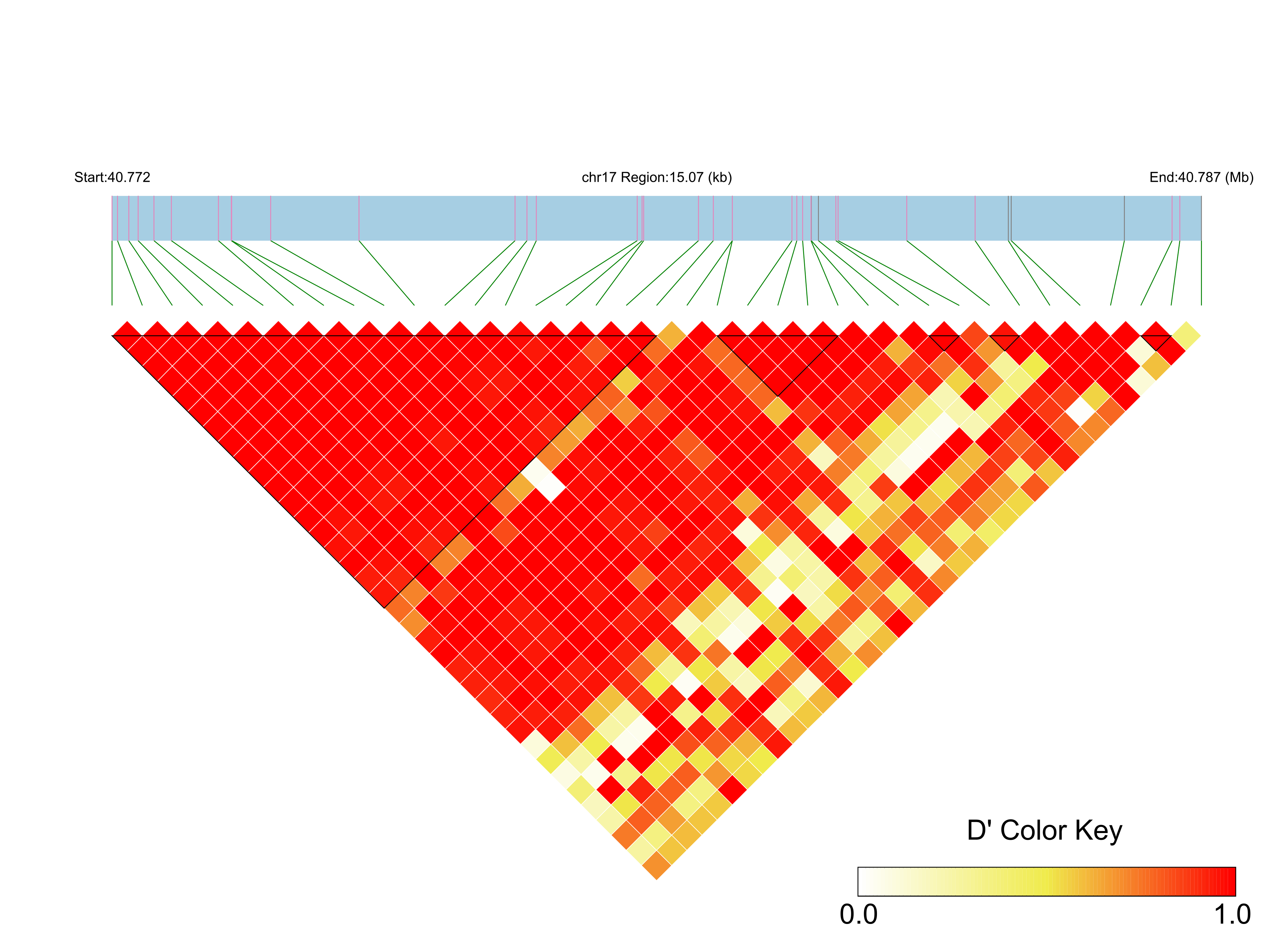 LD