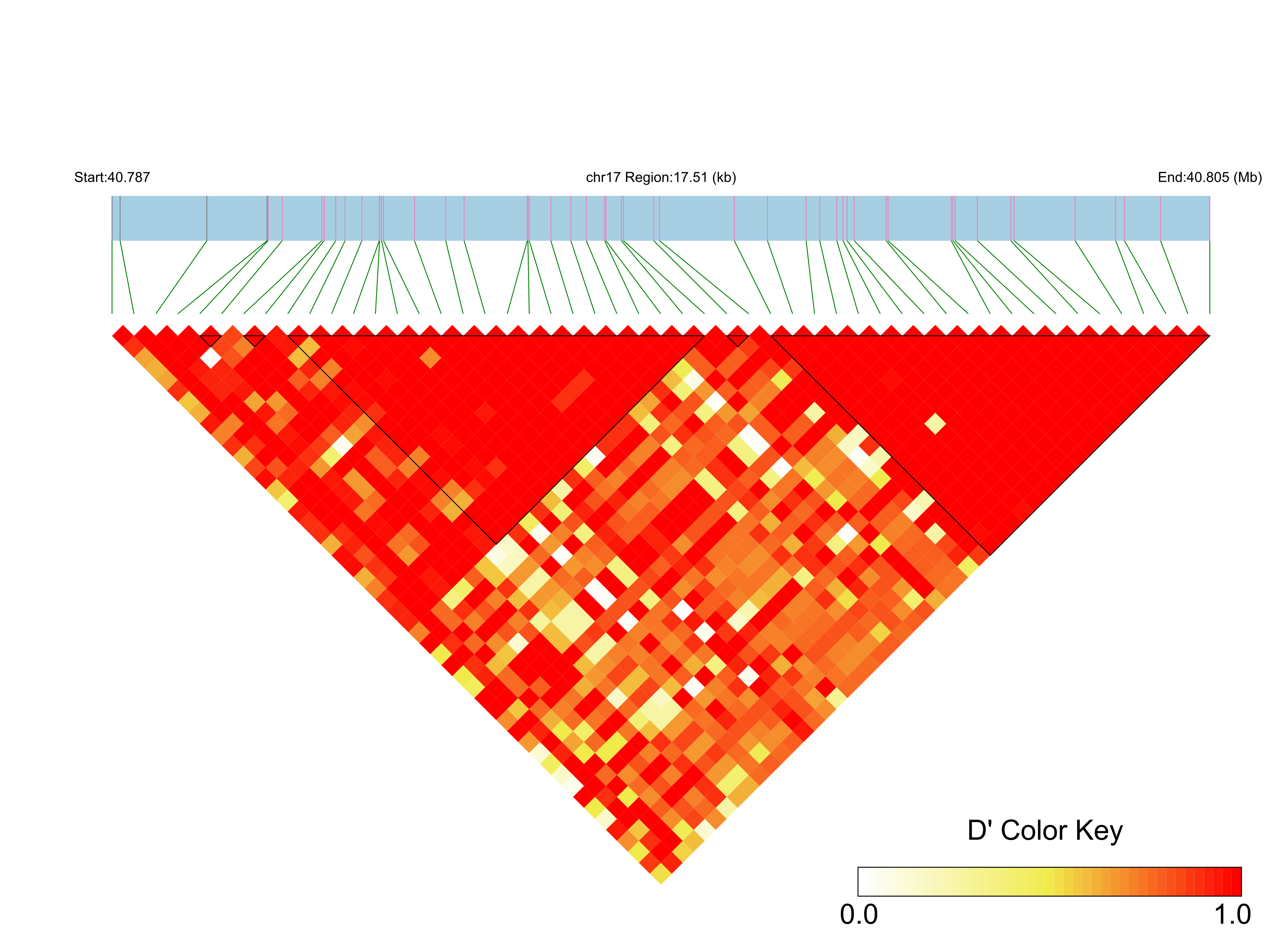 LD