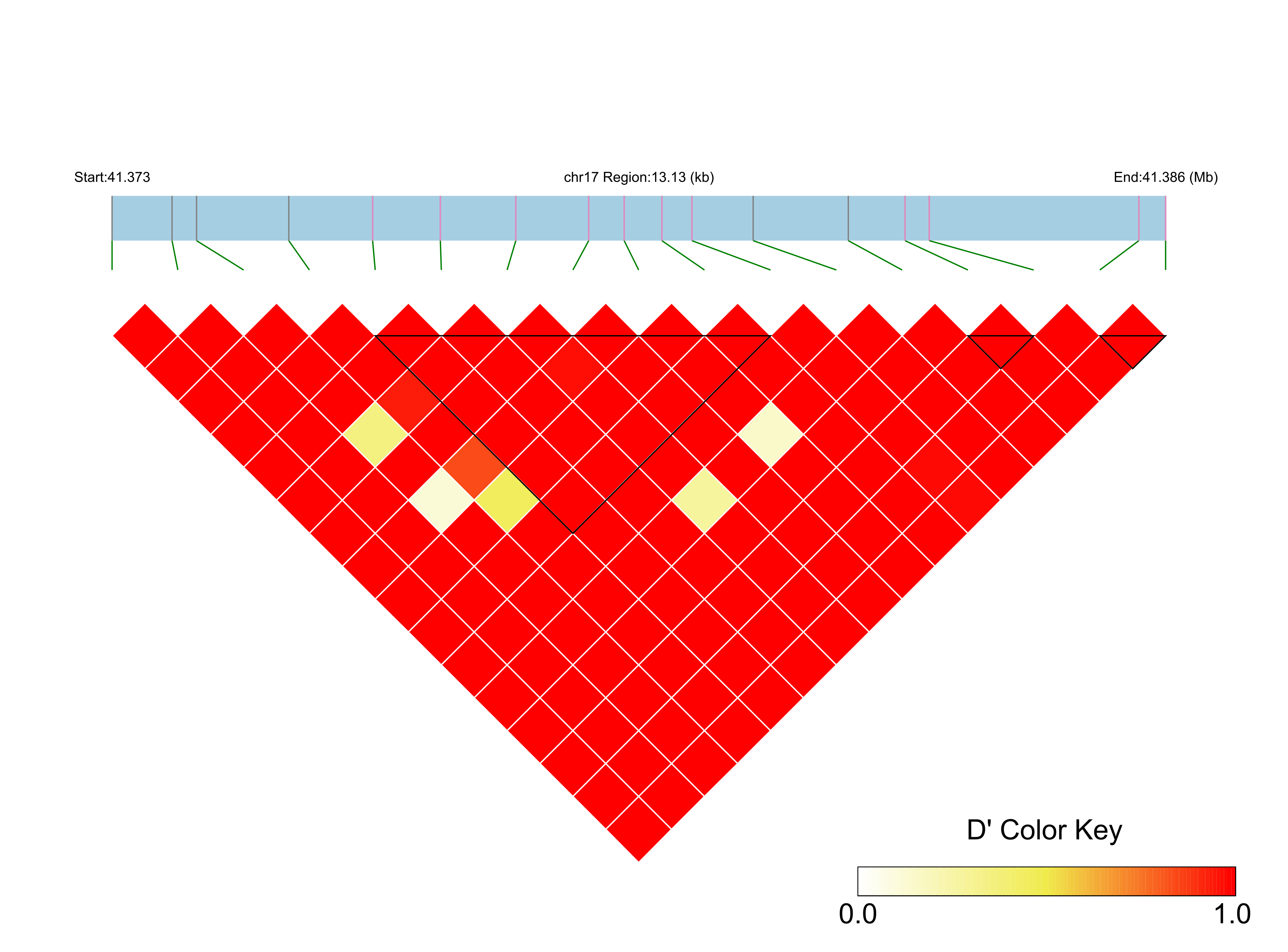 LD