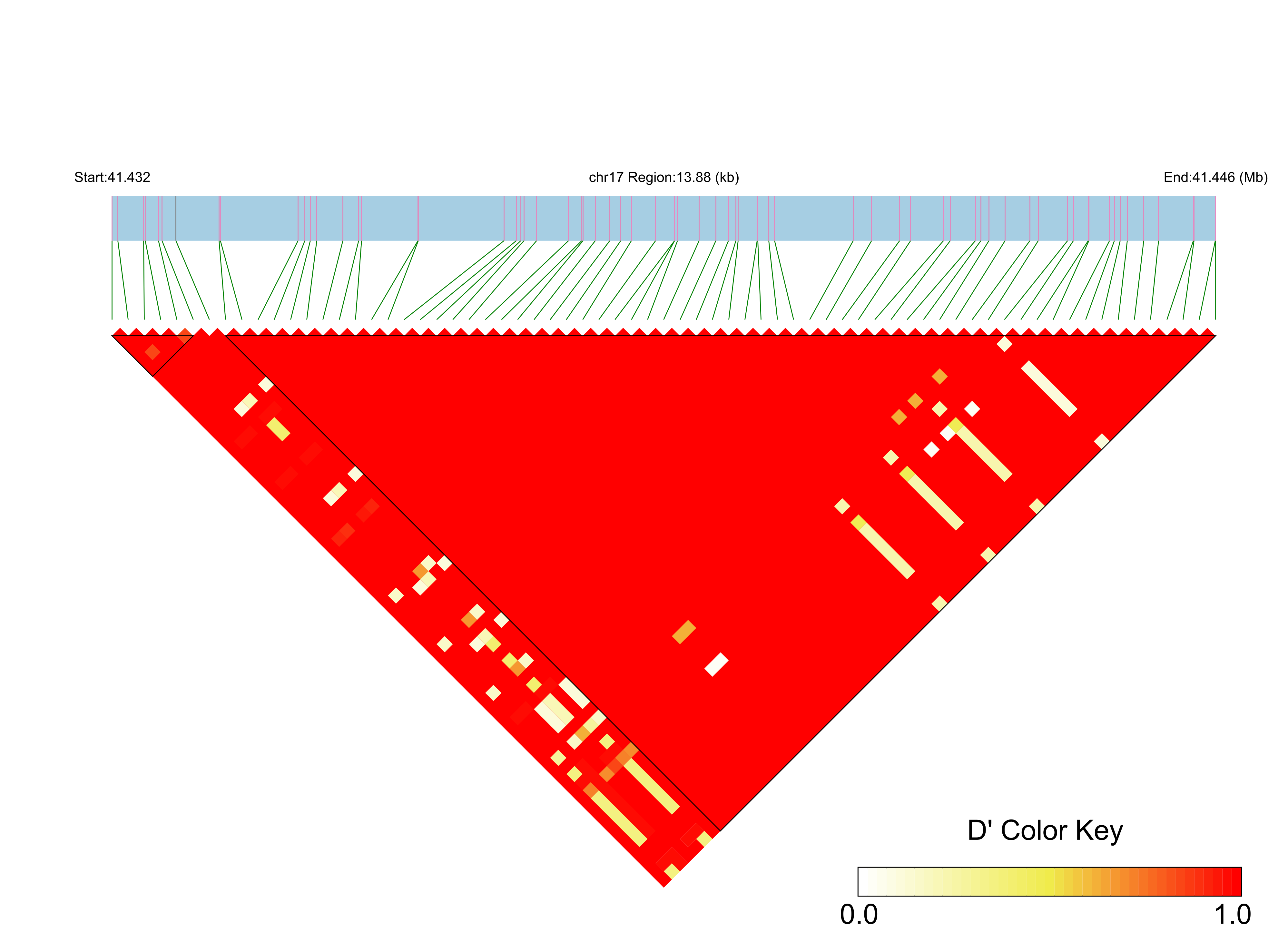 LD