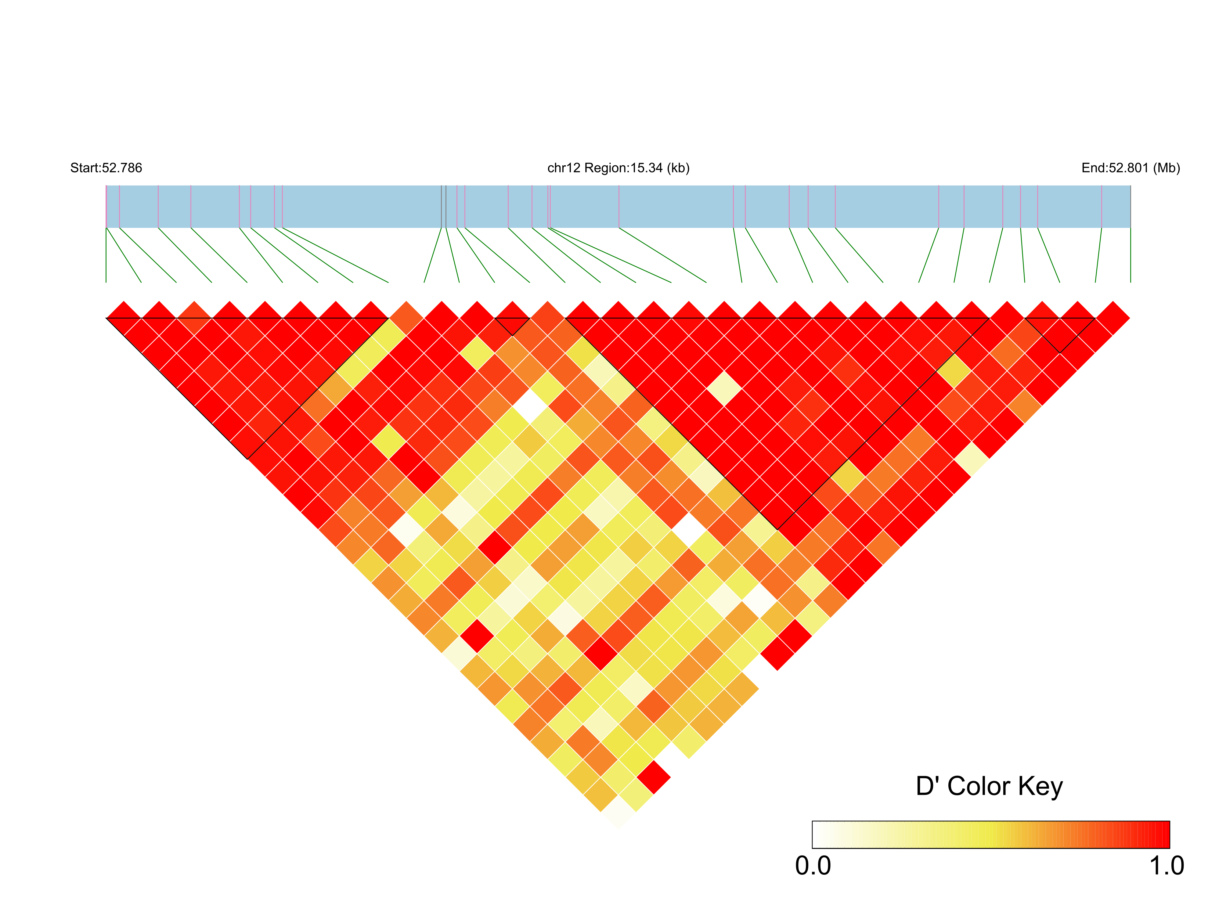 LD