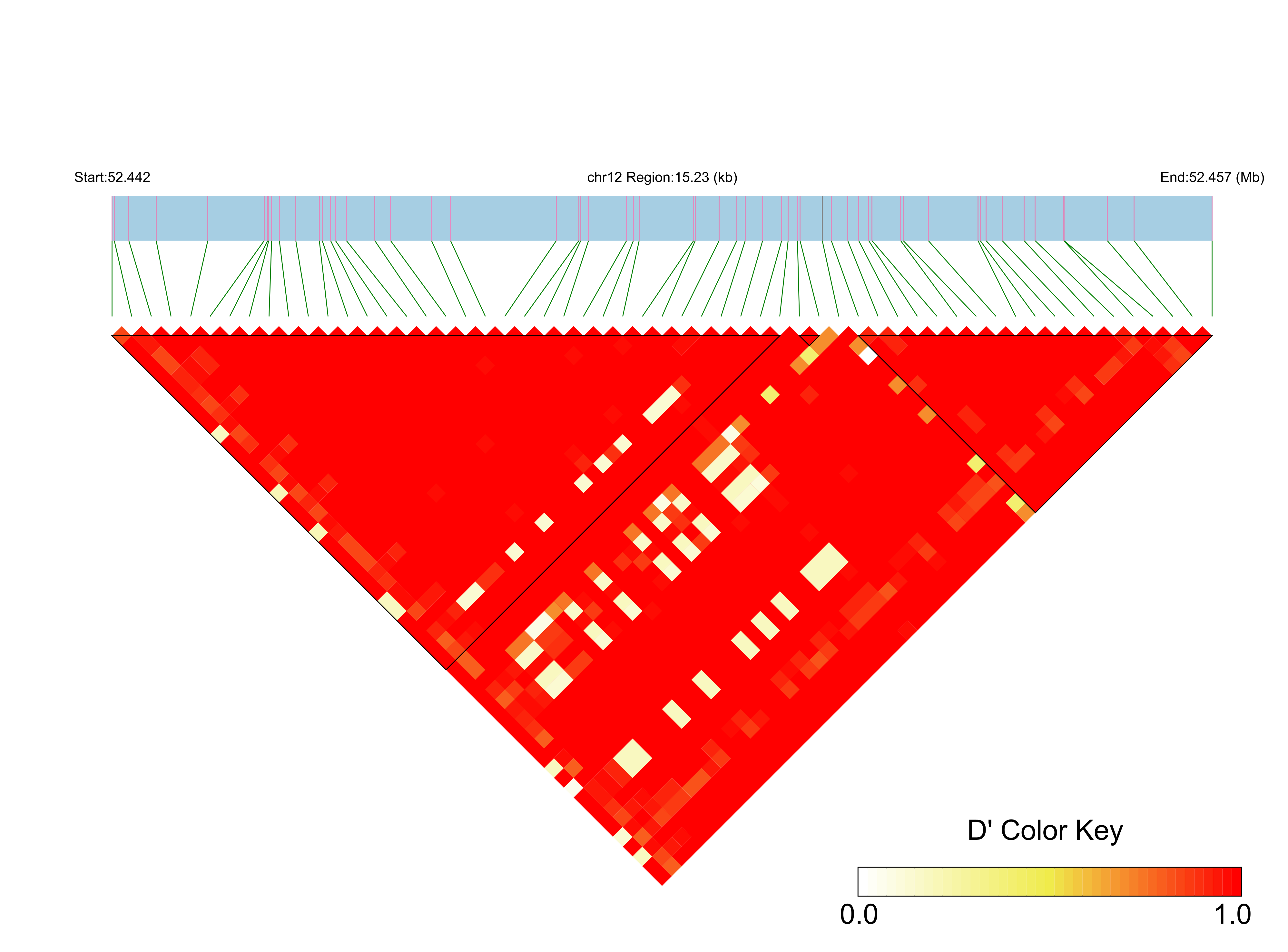 LD
