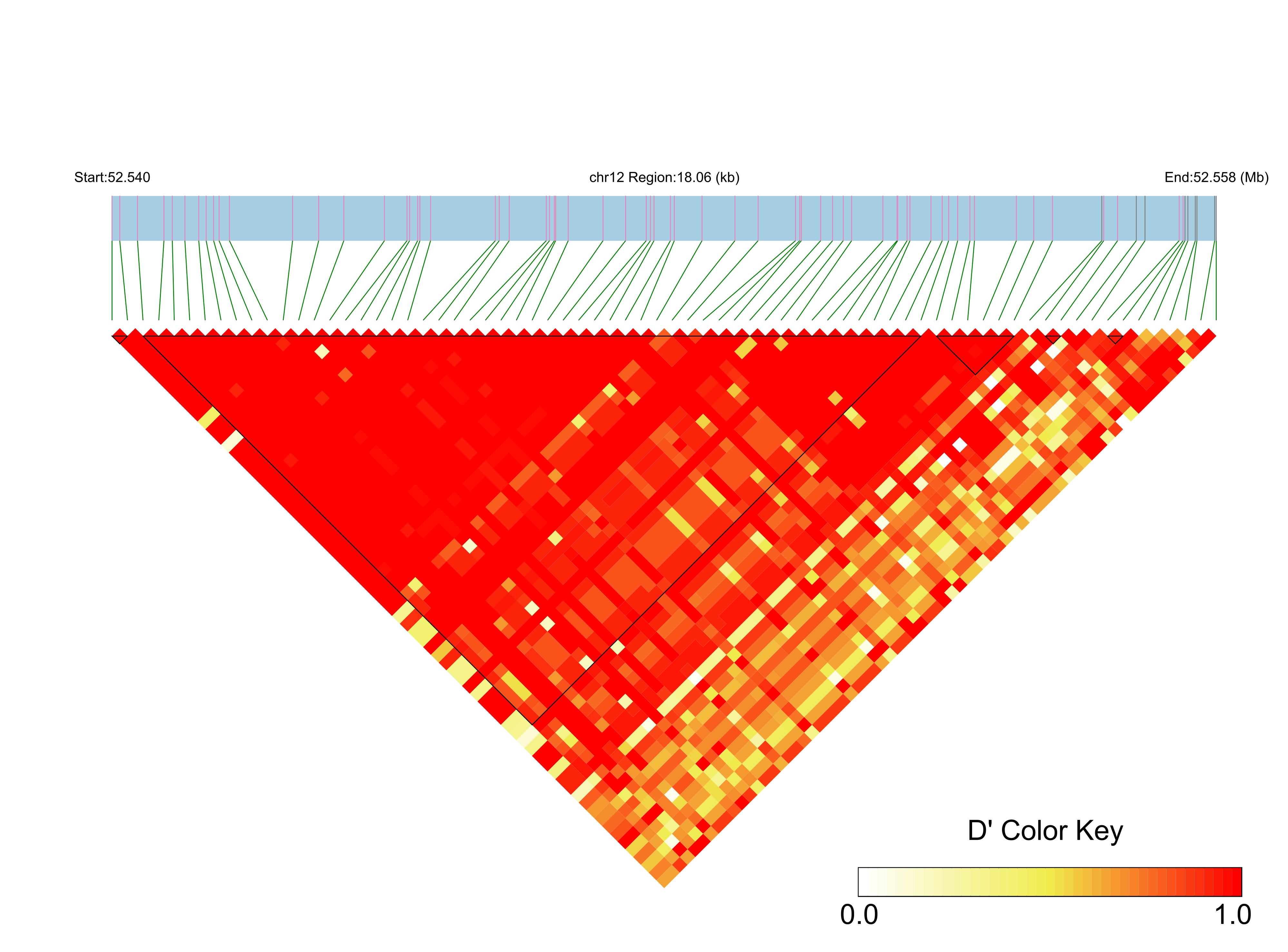 LD