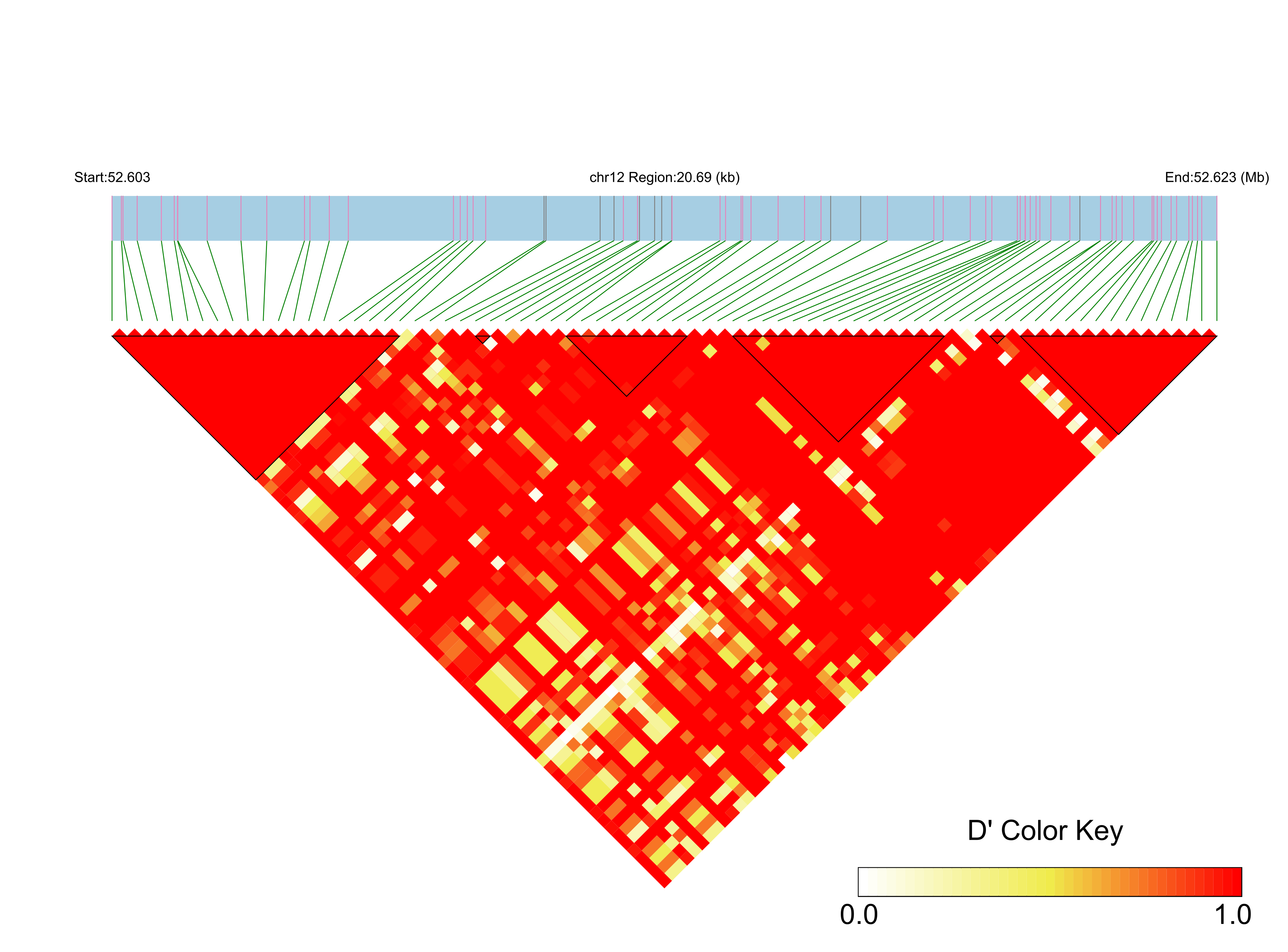 LD