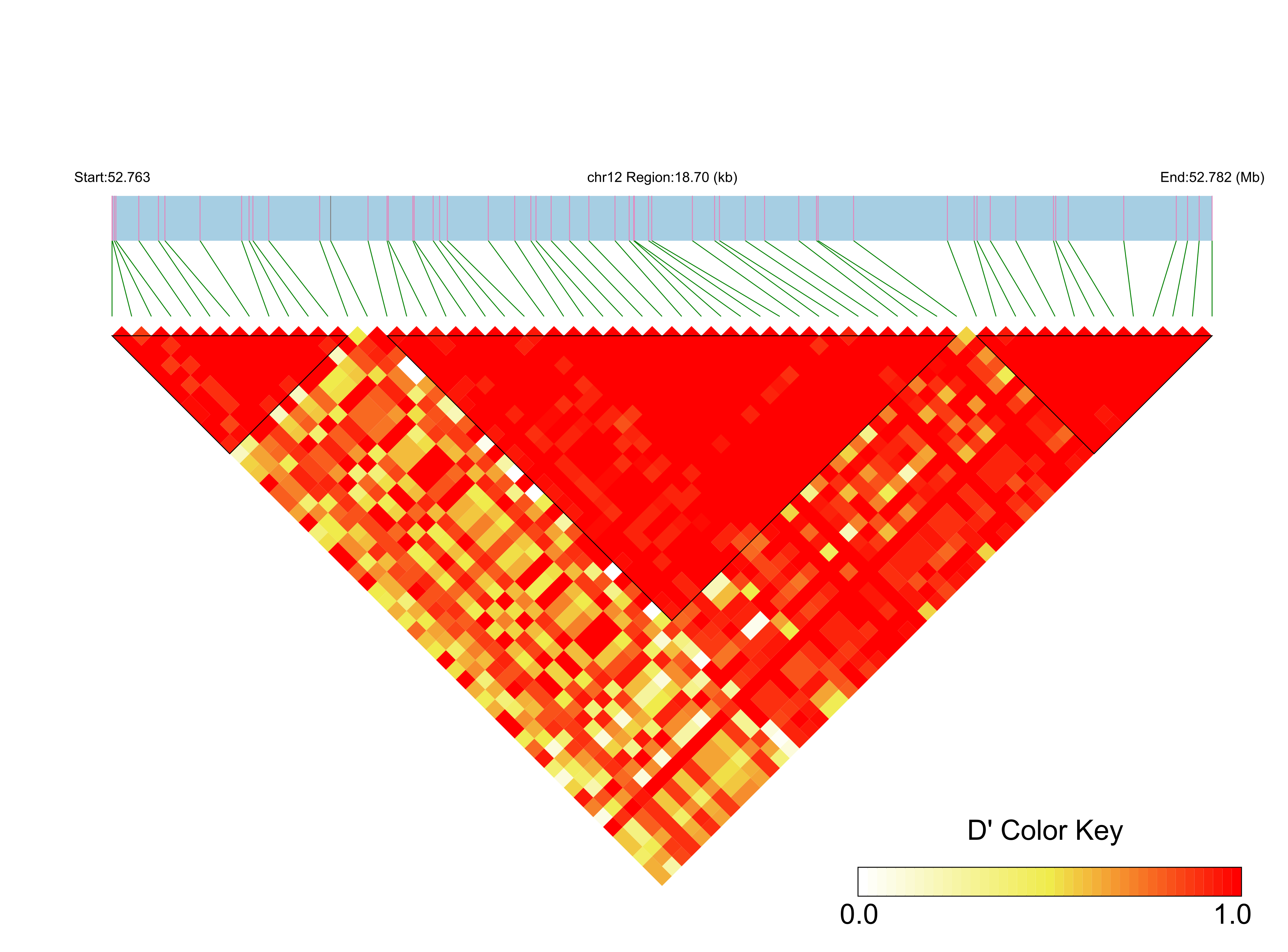 LD