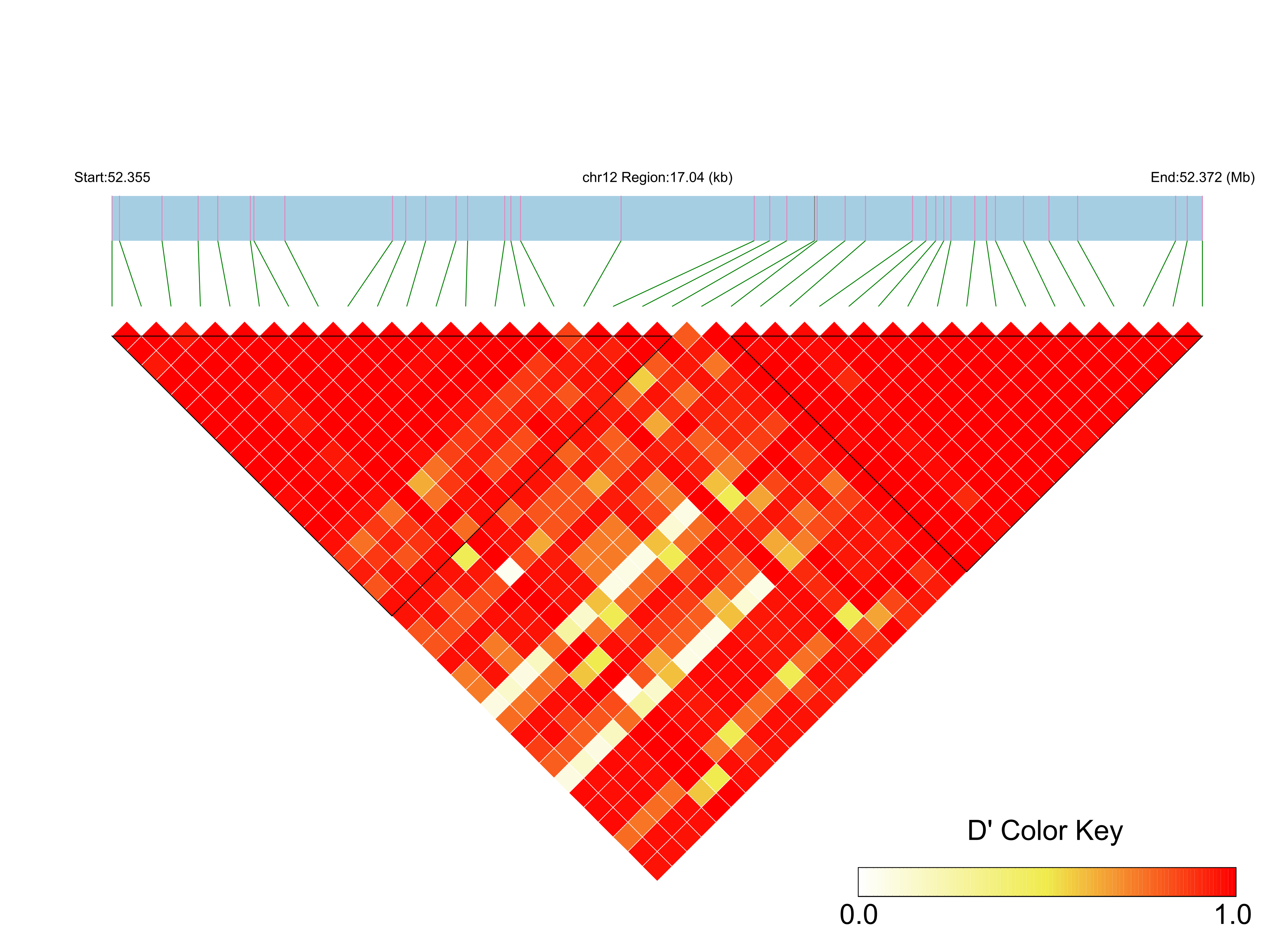 LD