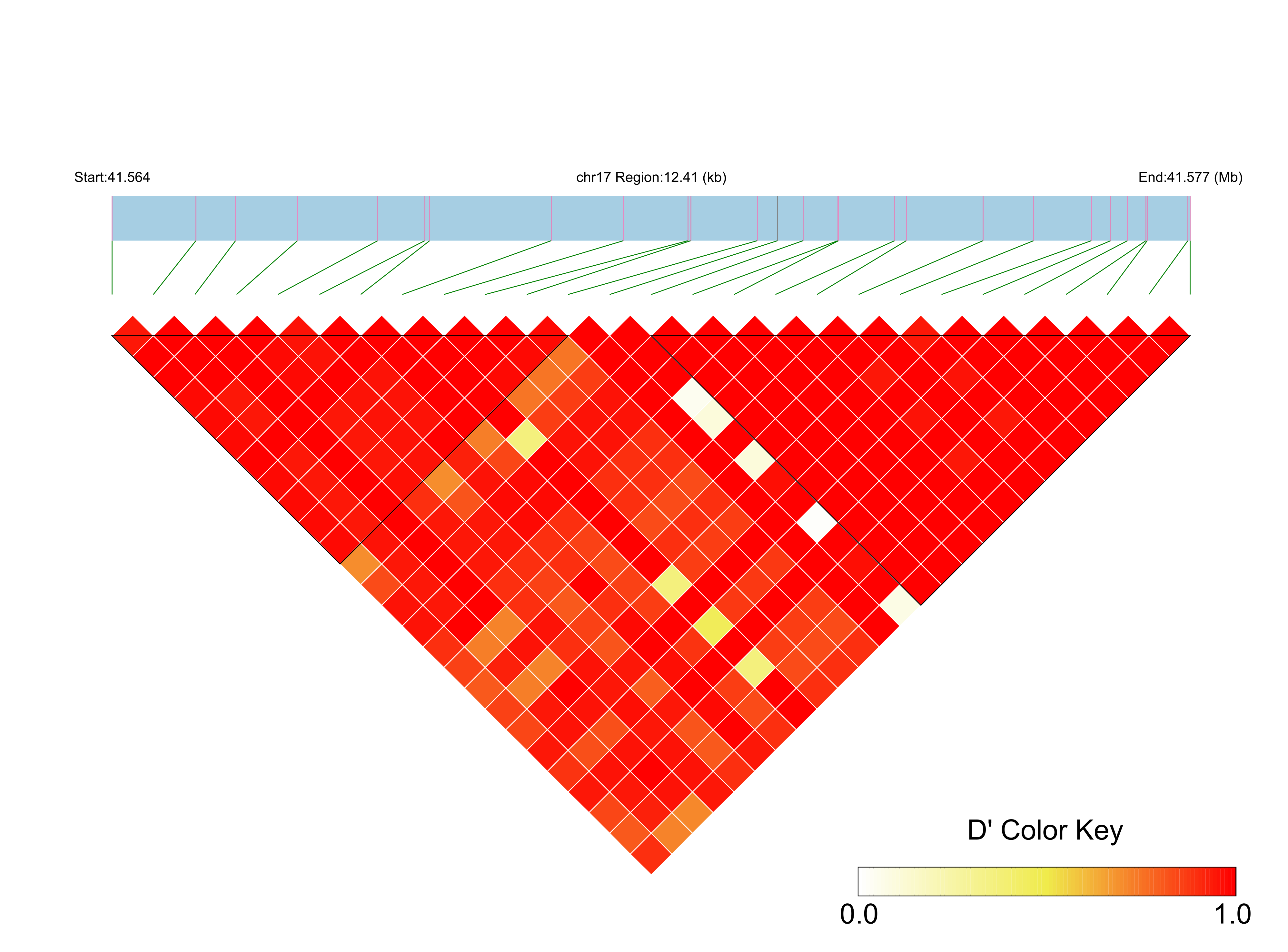 LD