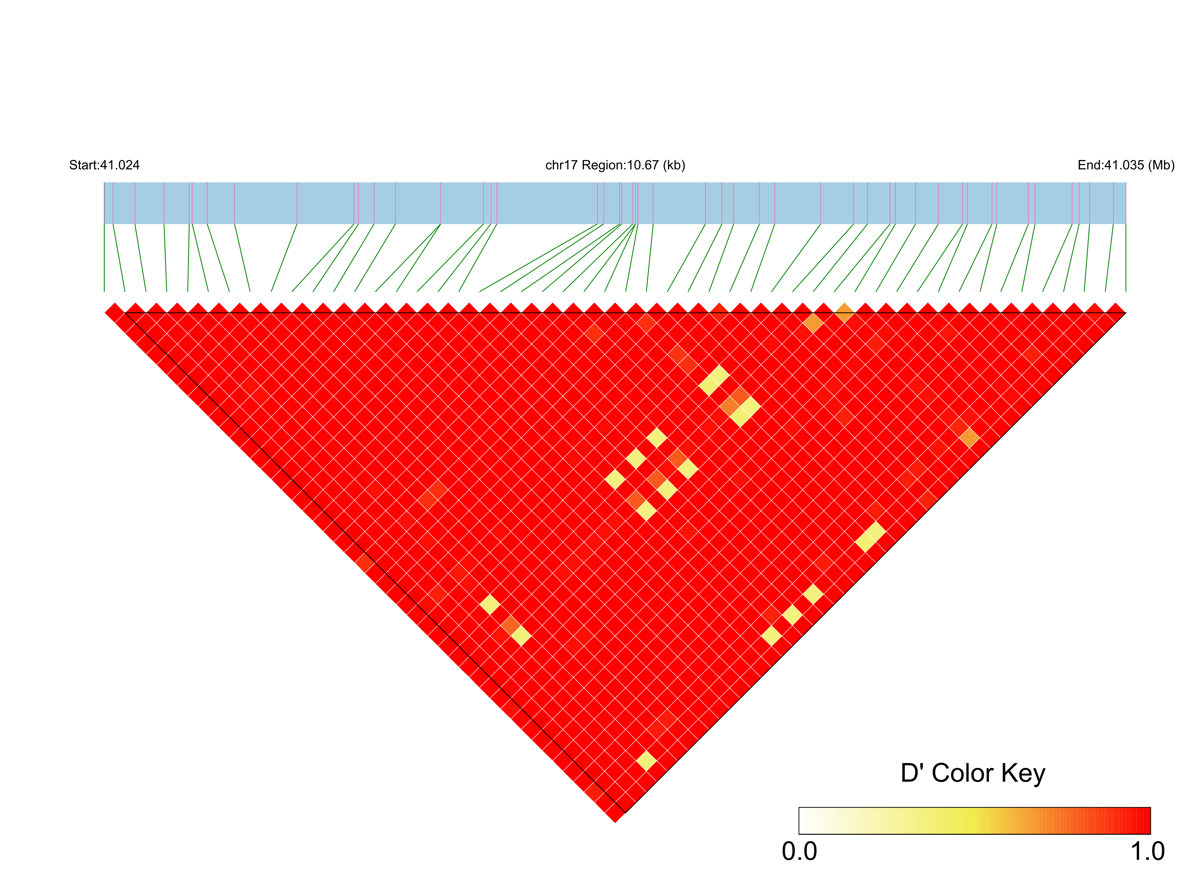 LD