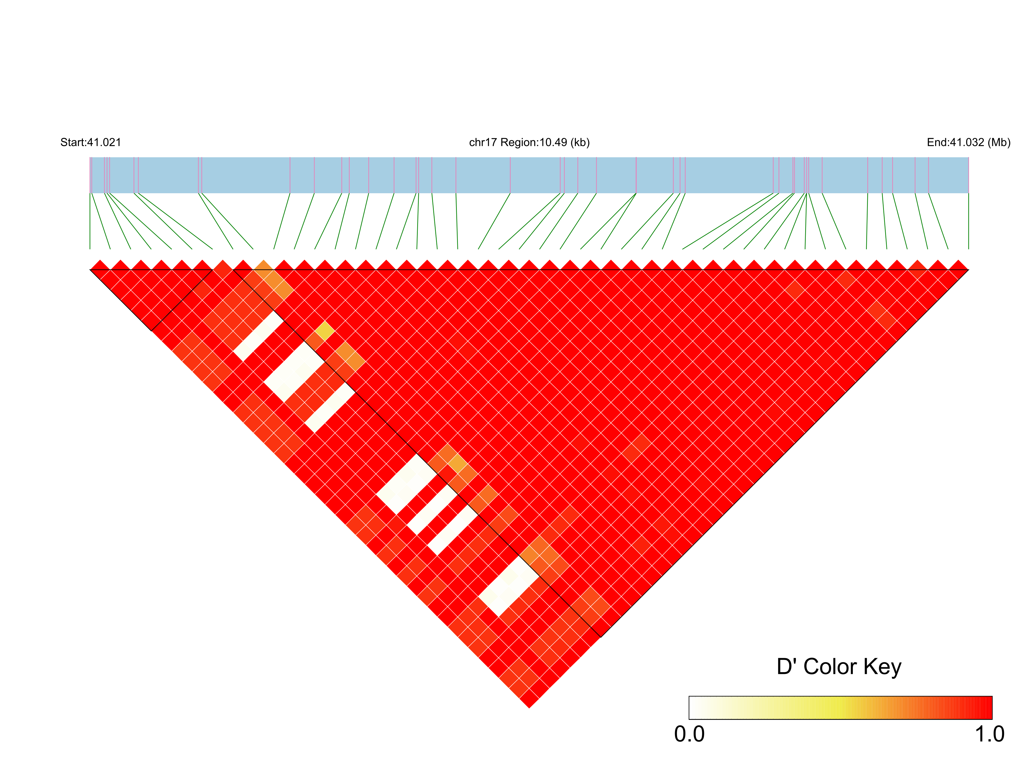LD