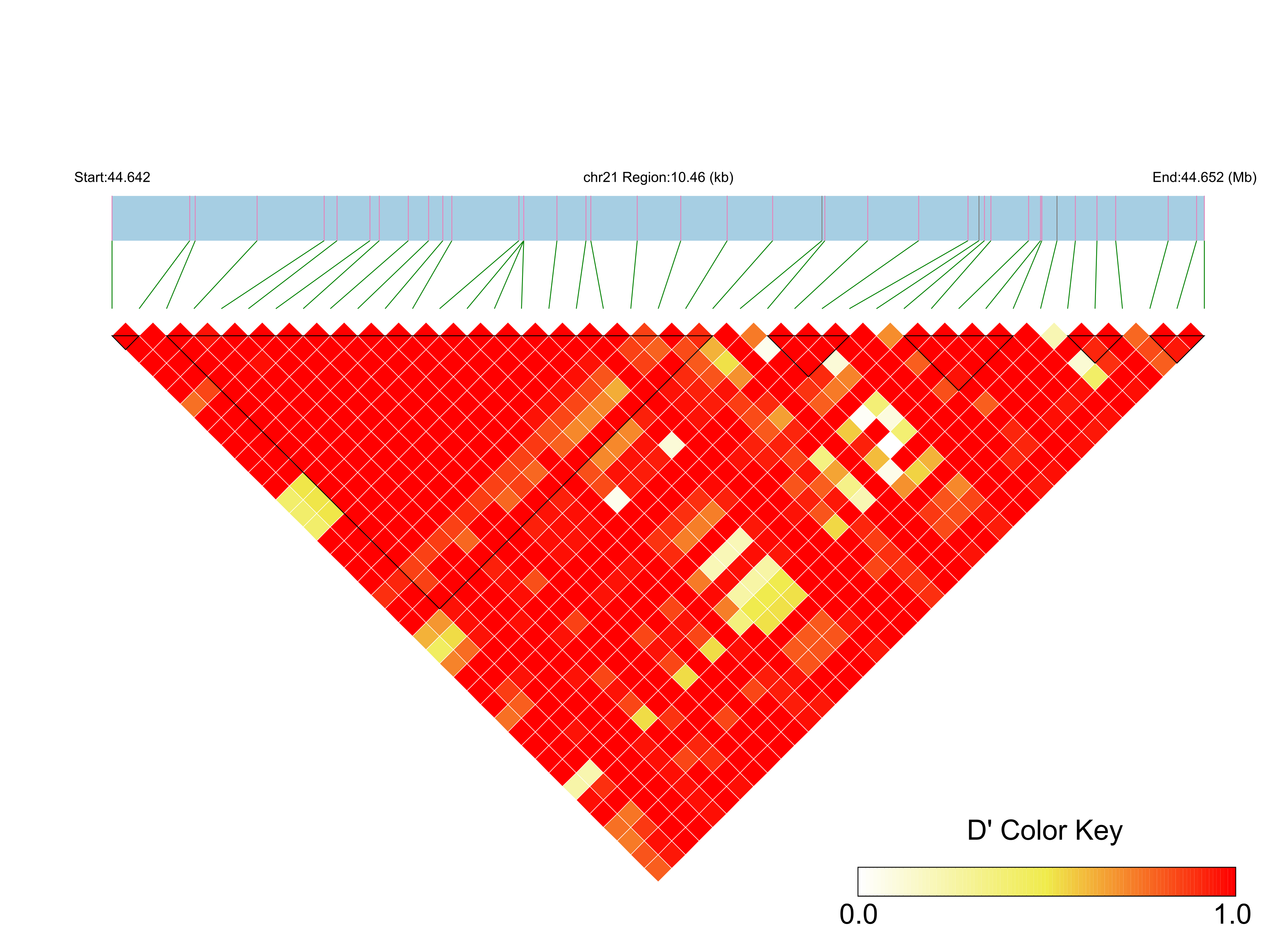 LD