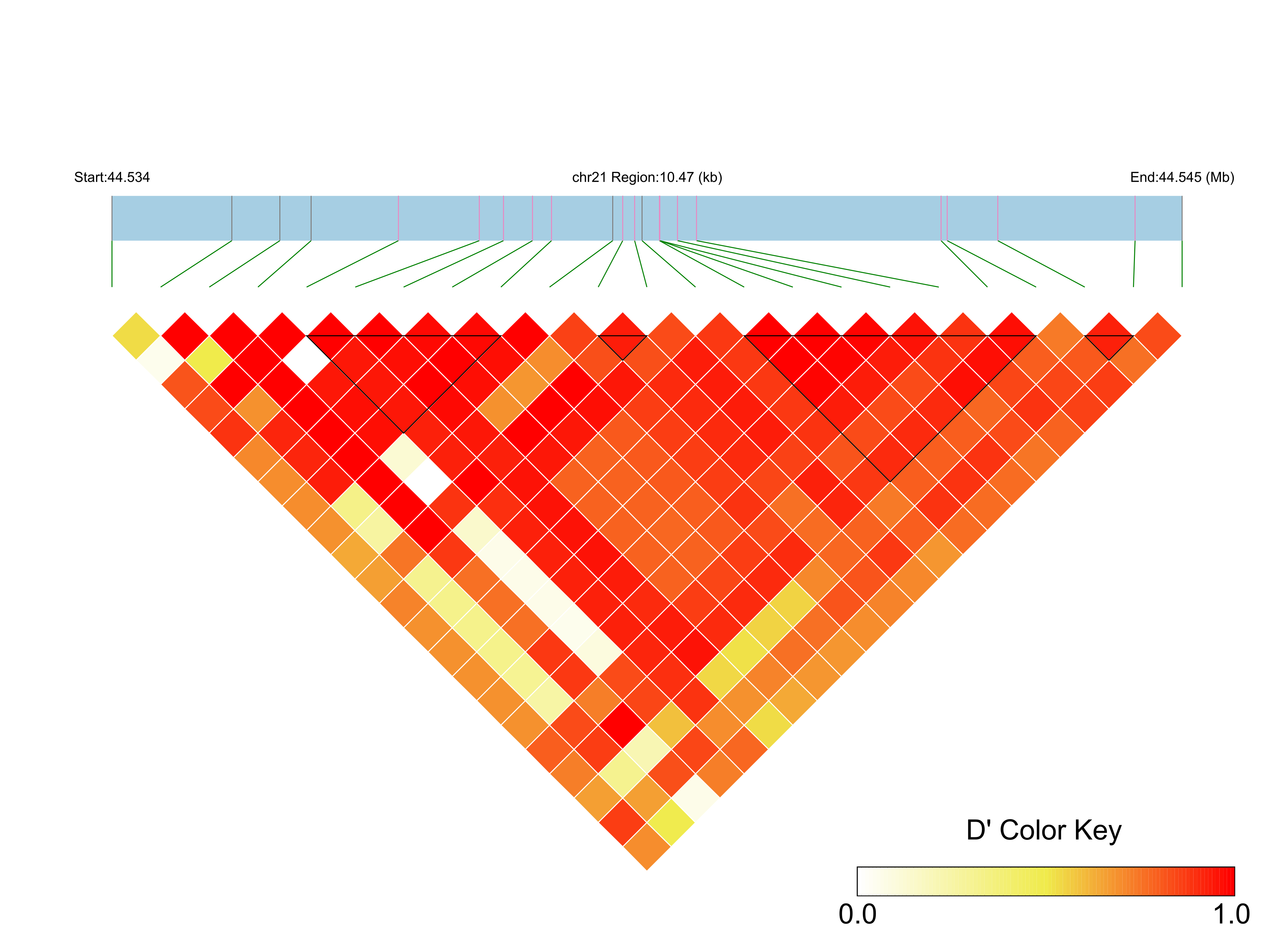 LD