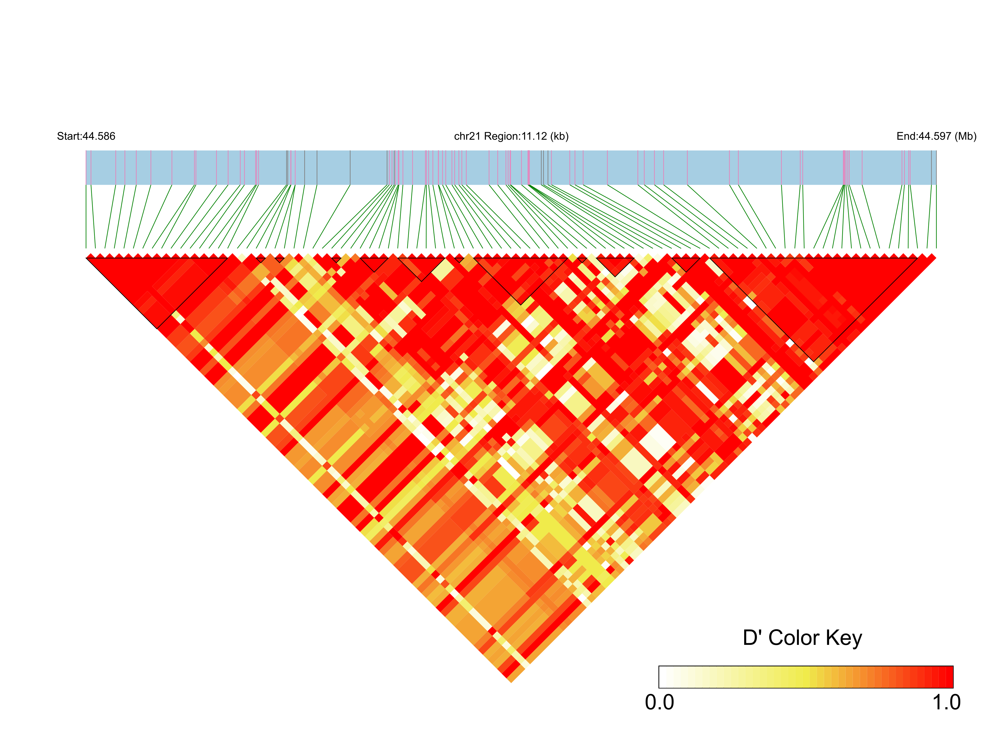 LD