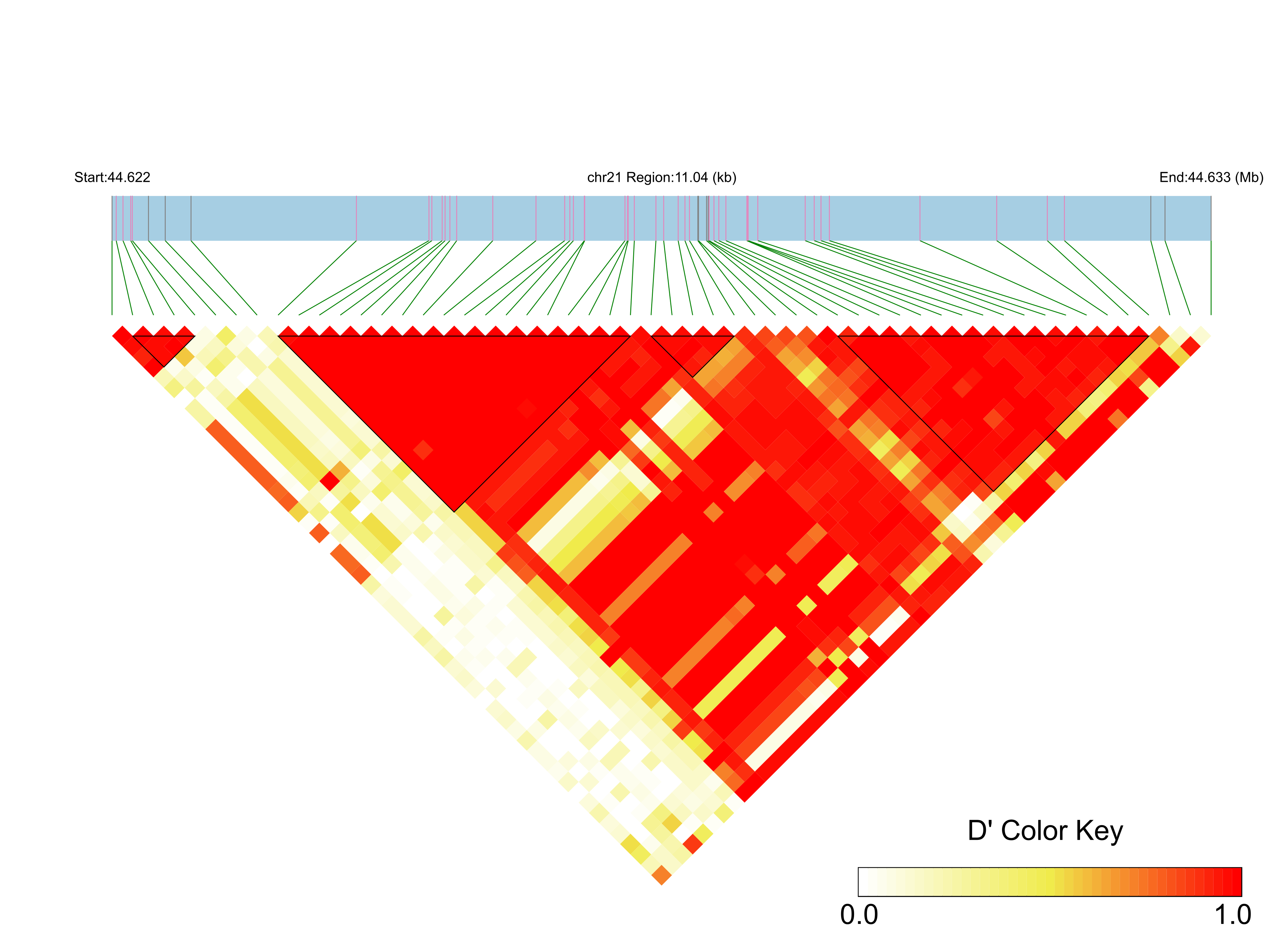 LD