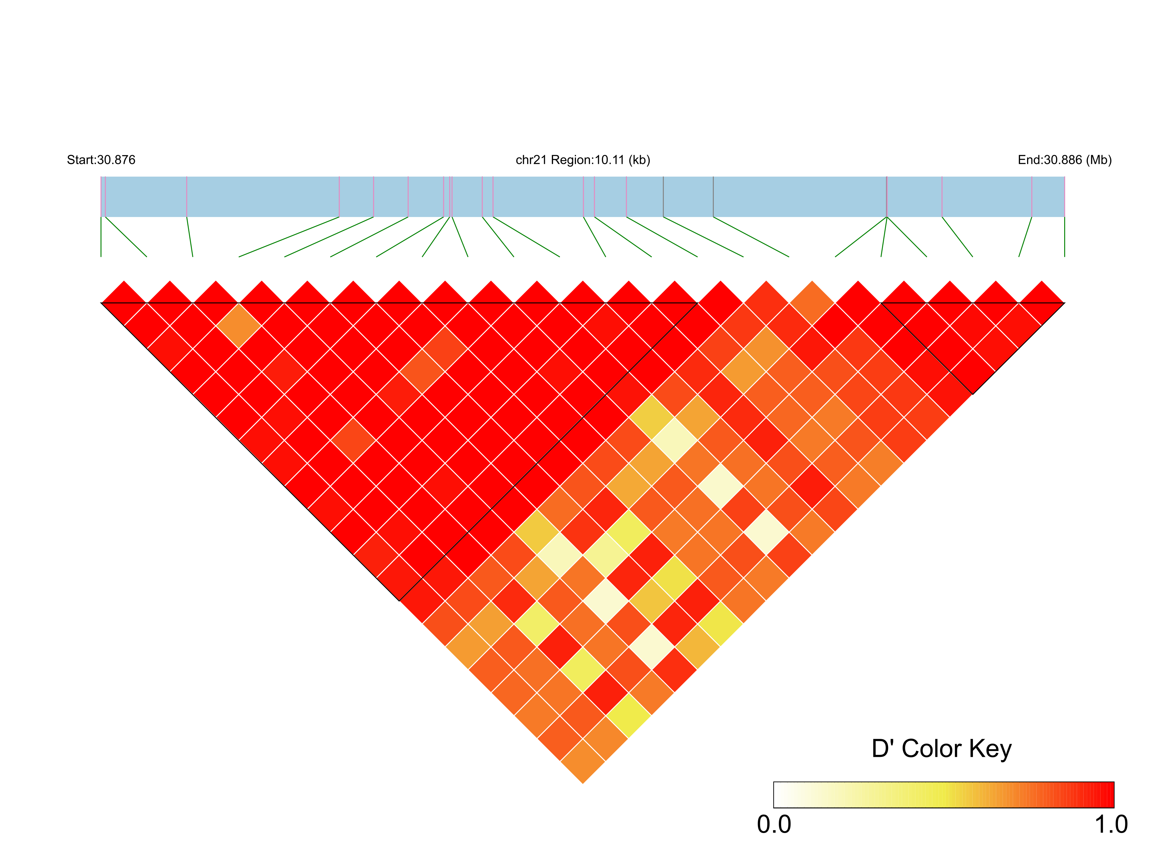 LD