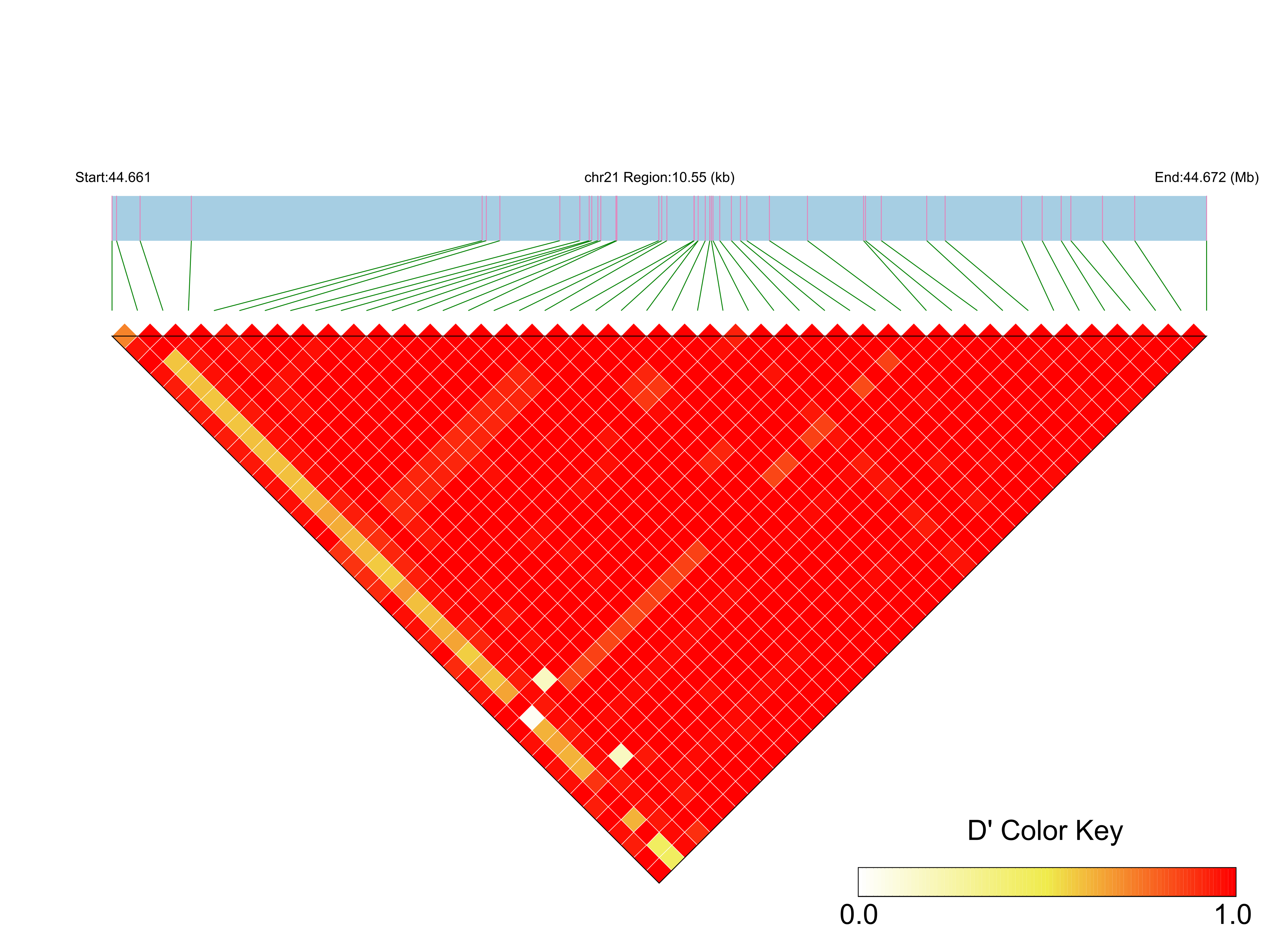 LD