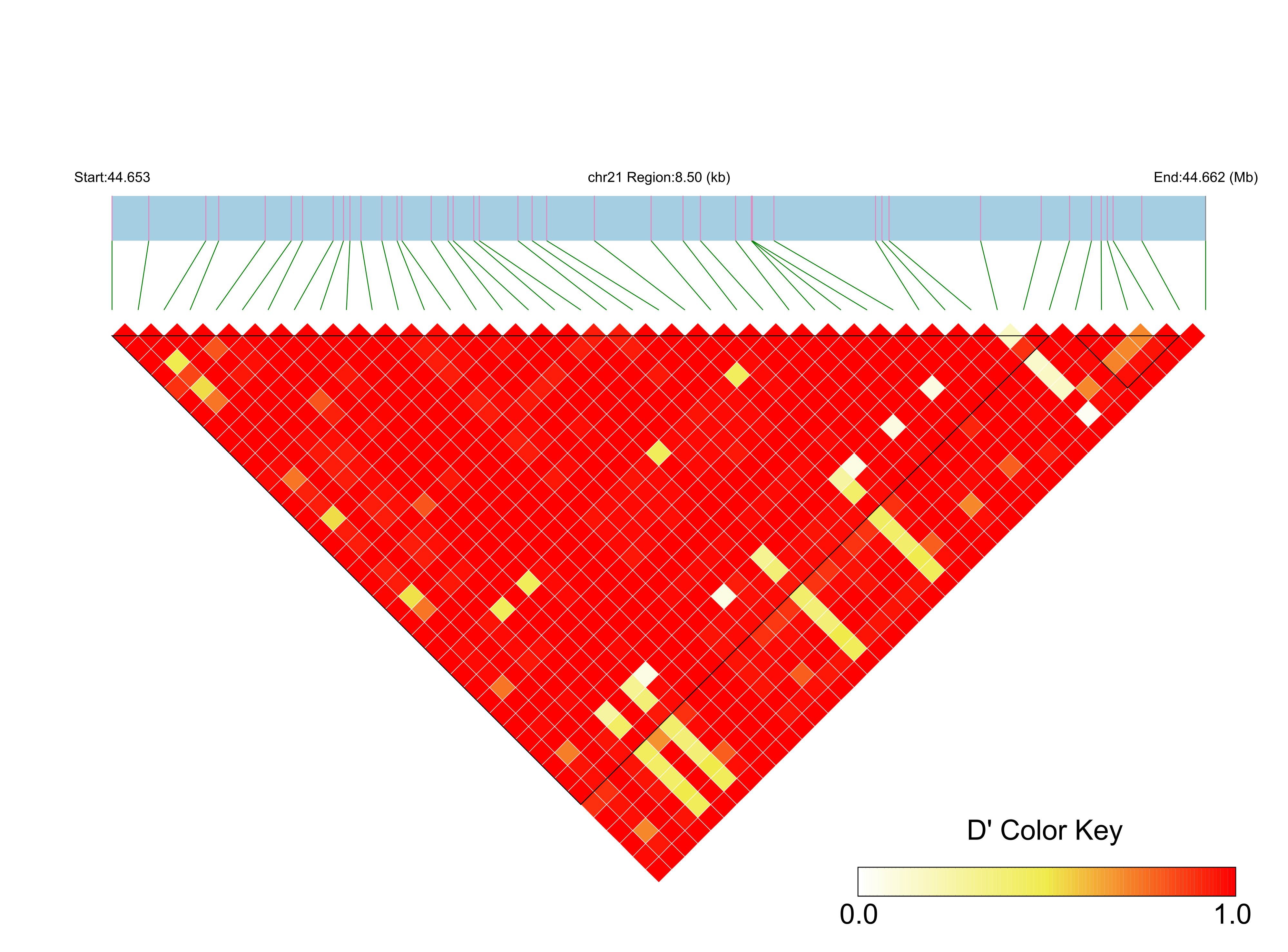 LD