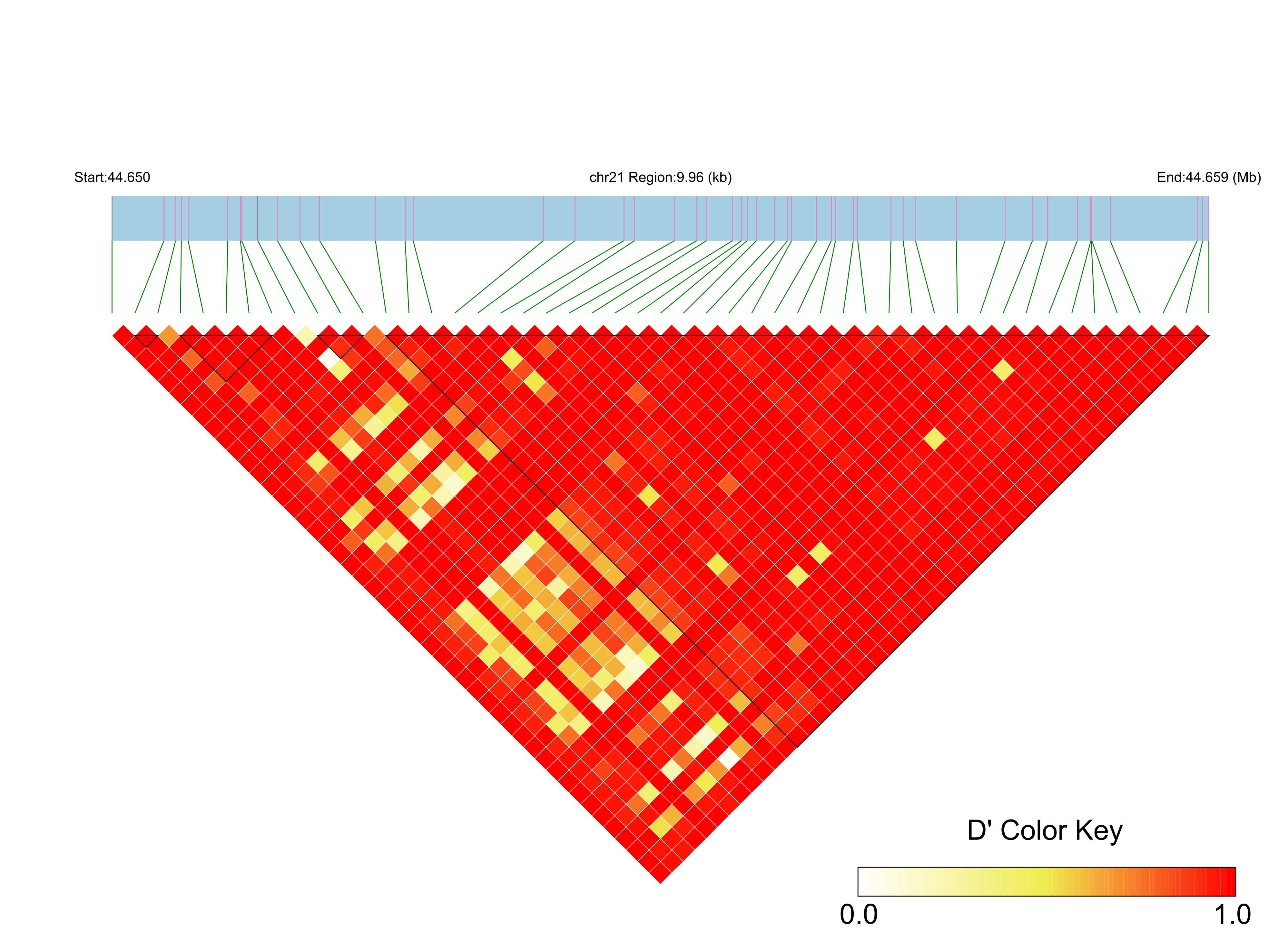 LD