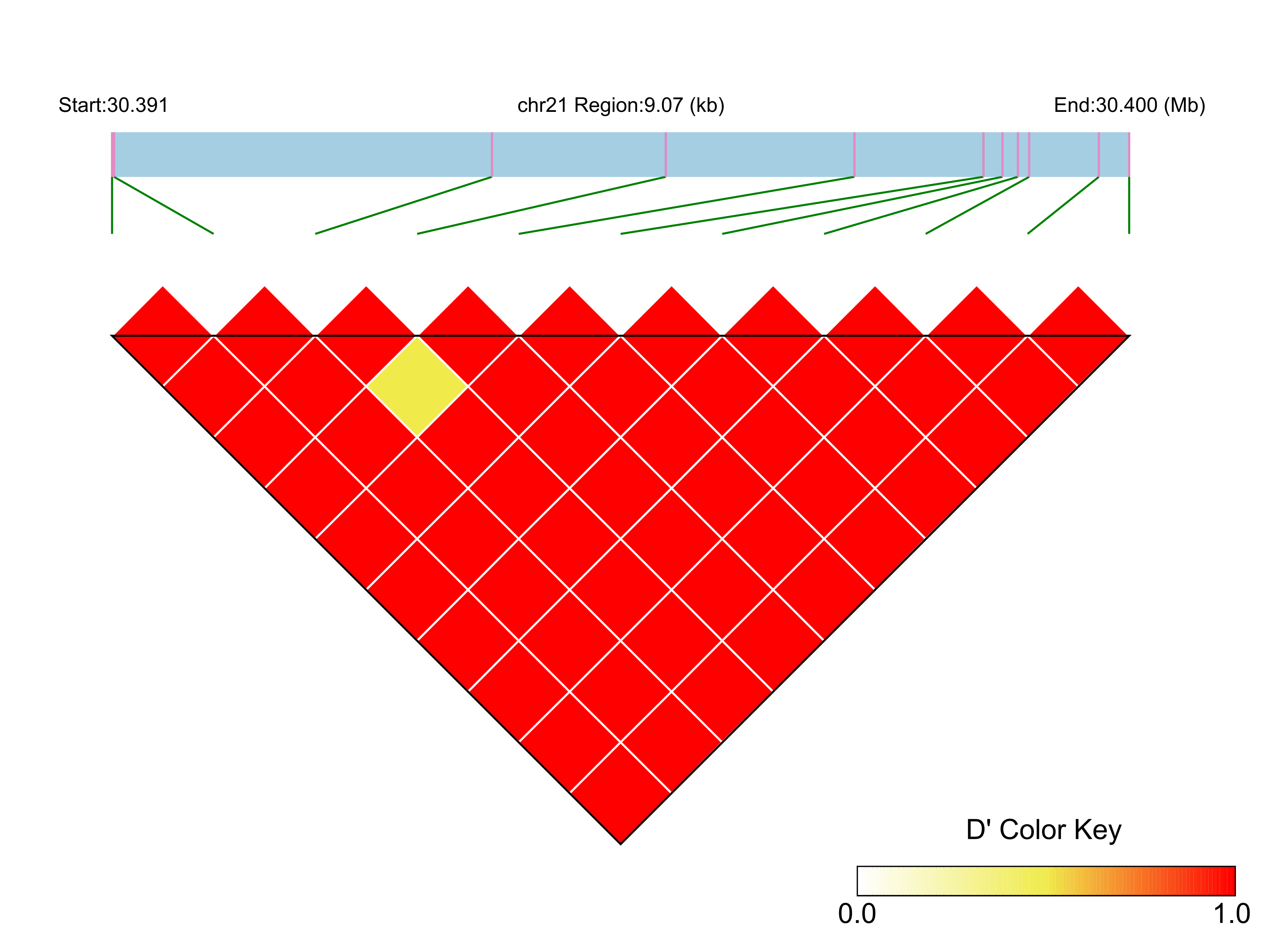 LD