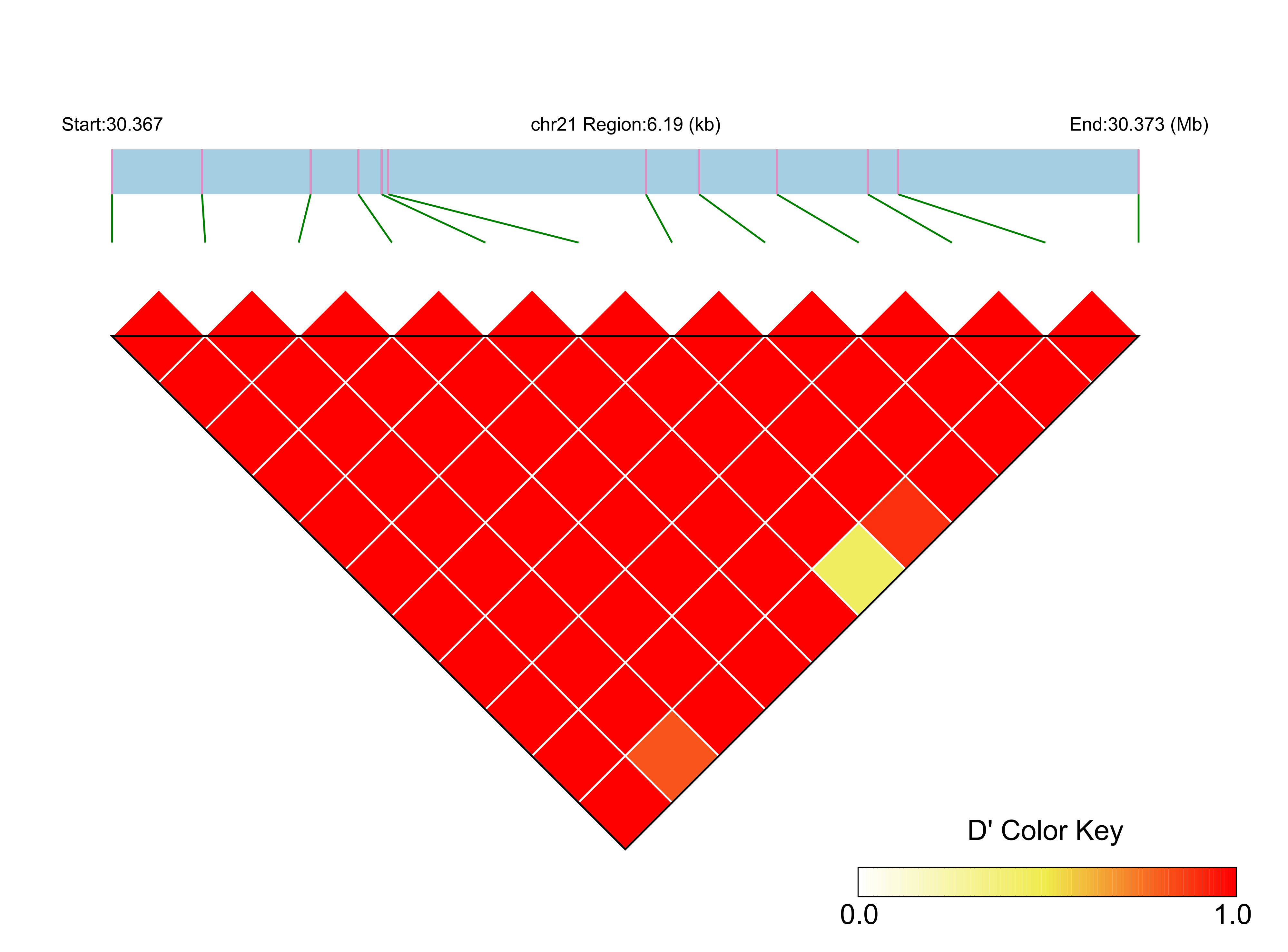 LD