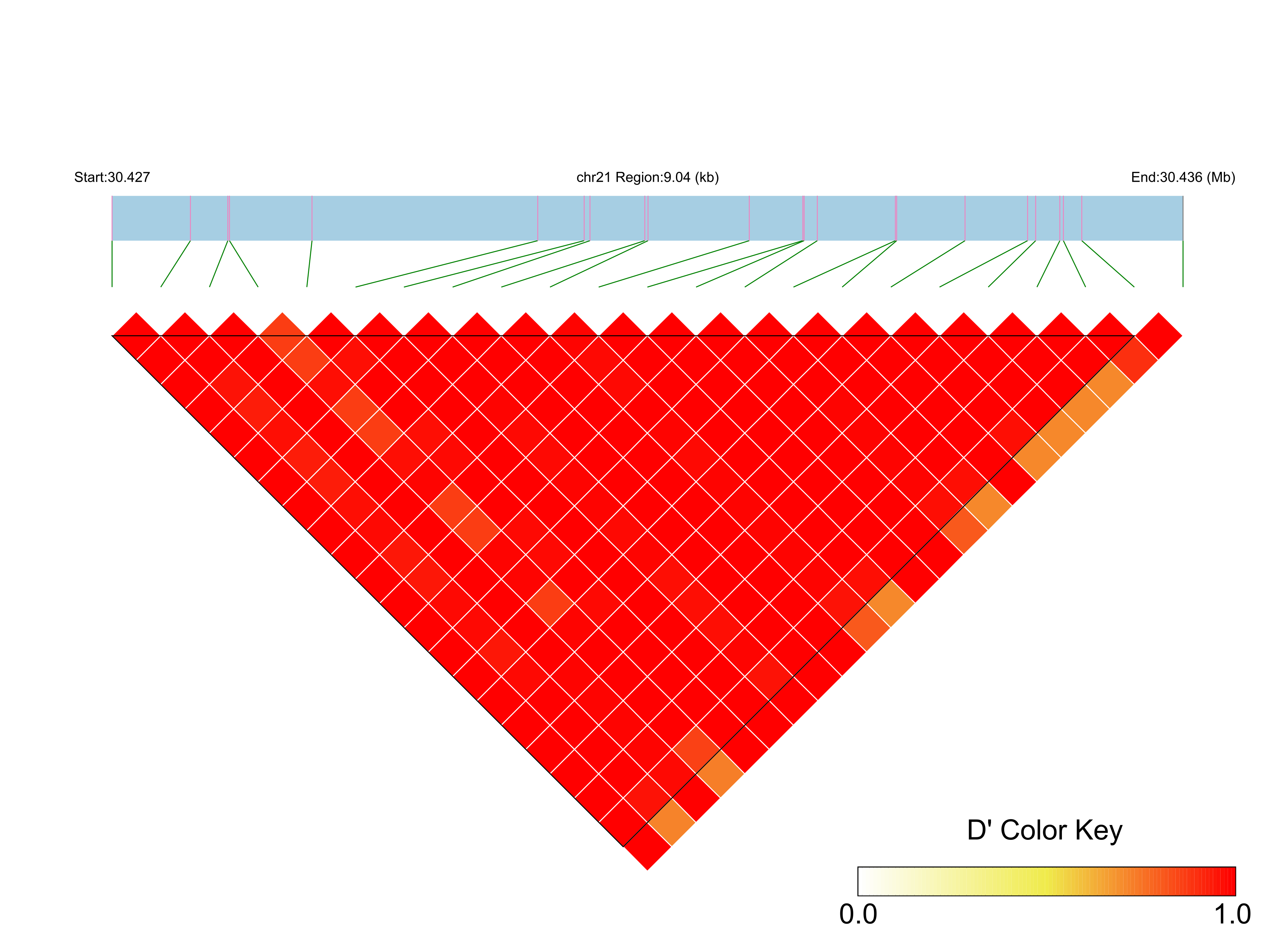 LD