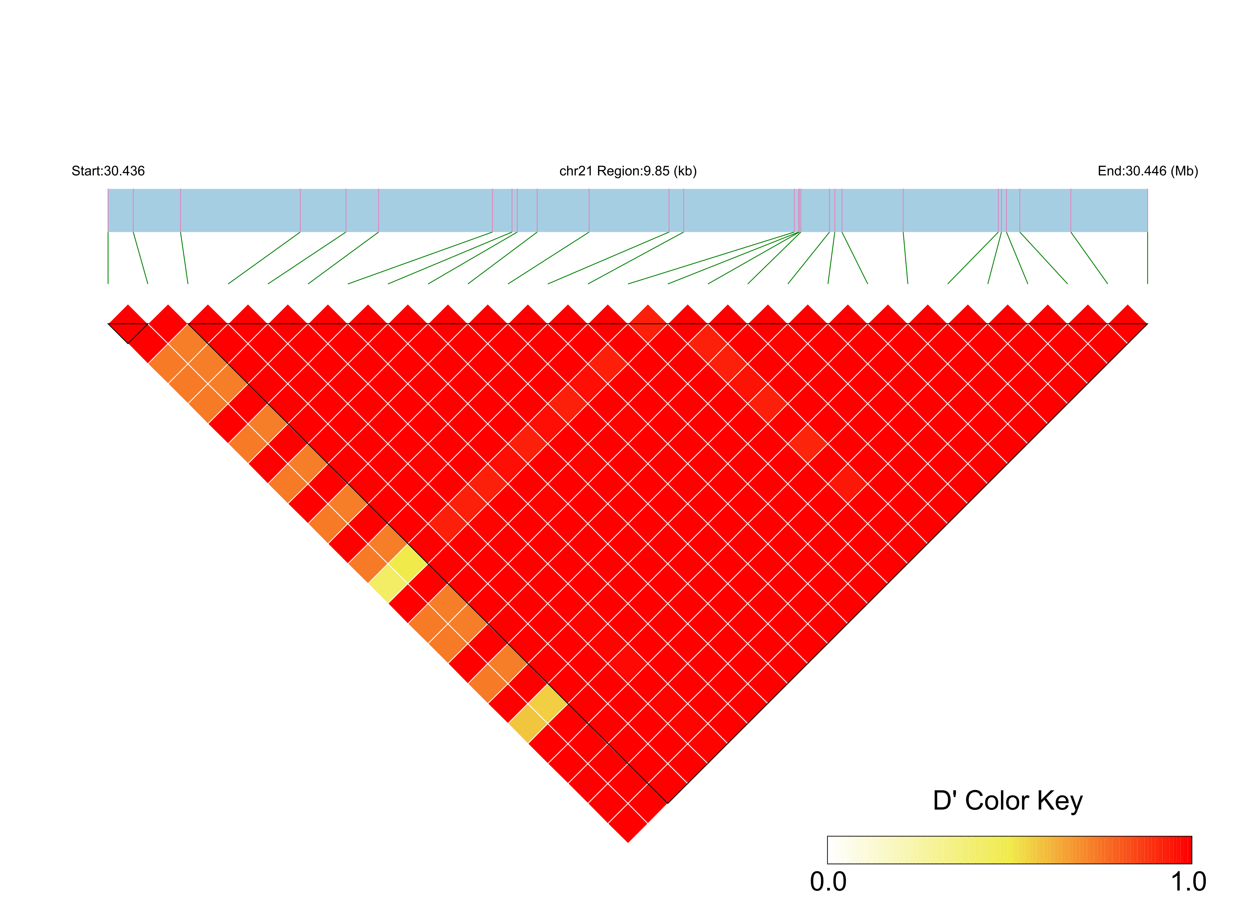 LD