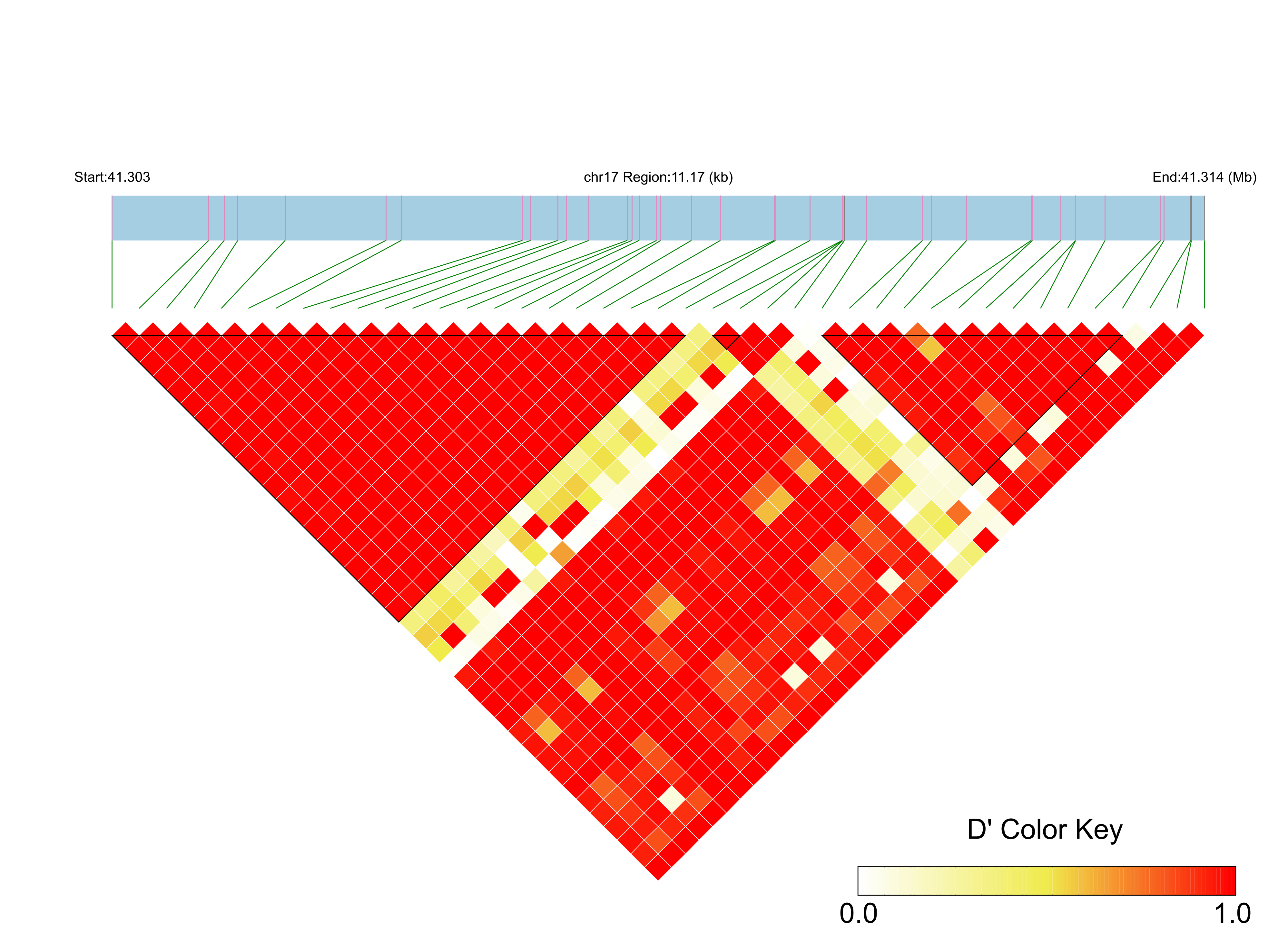 LD