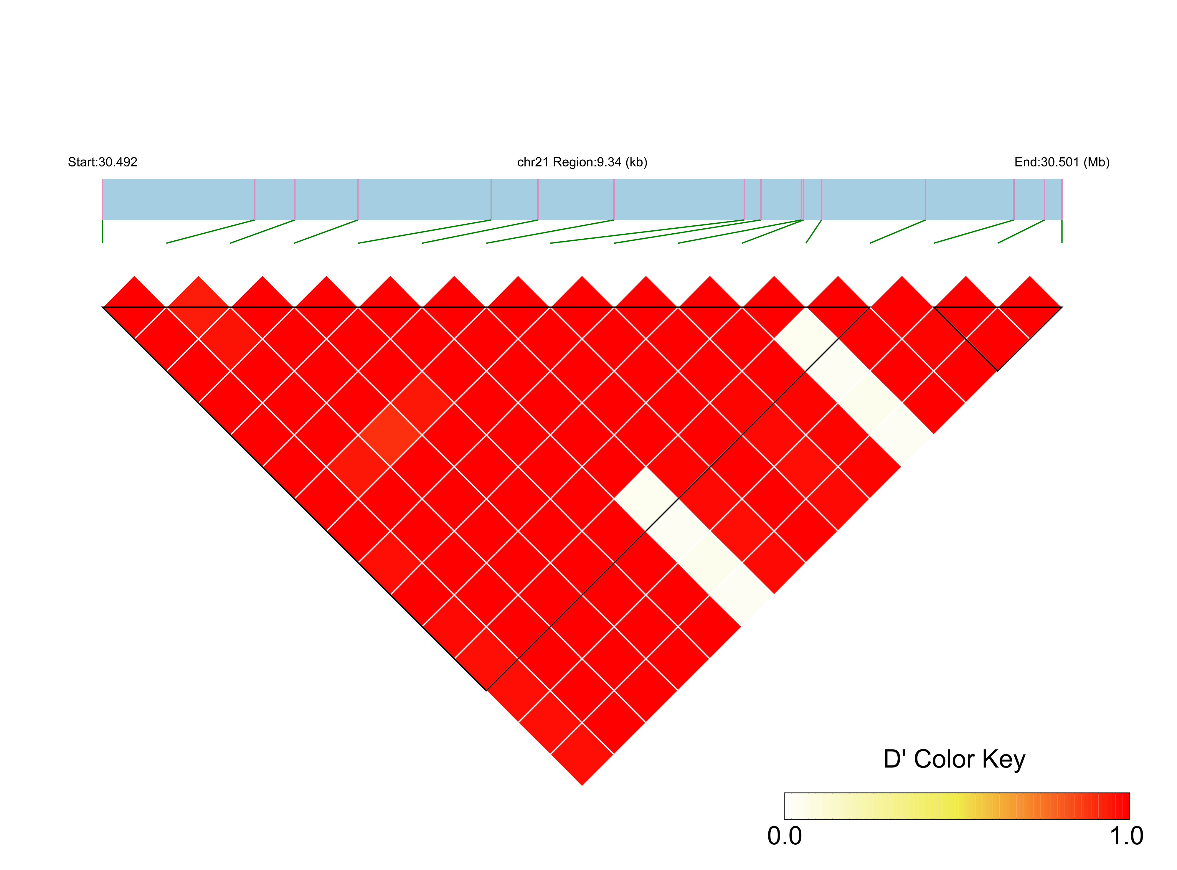 LD