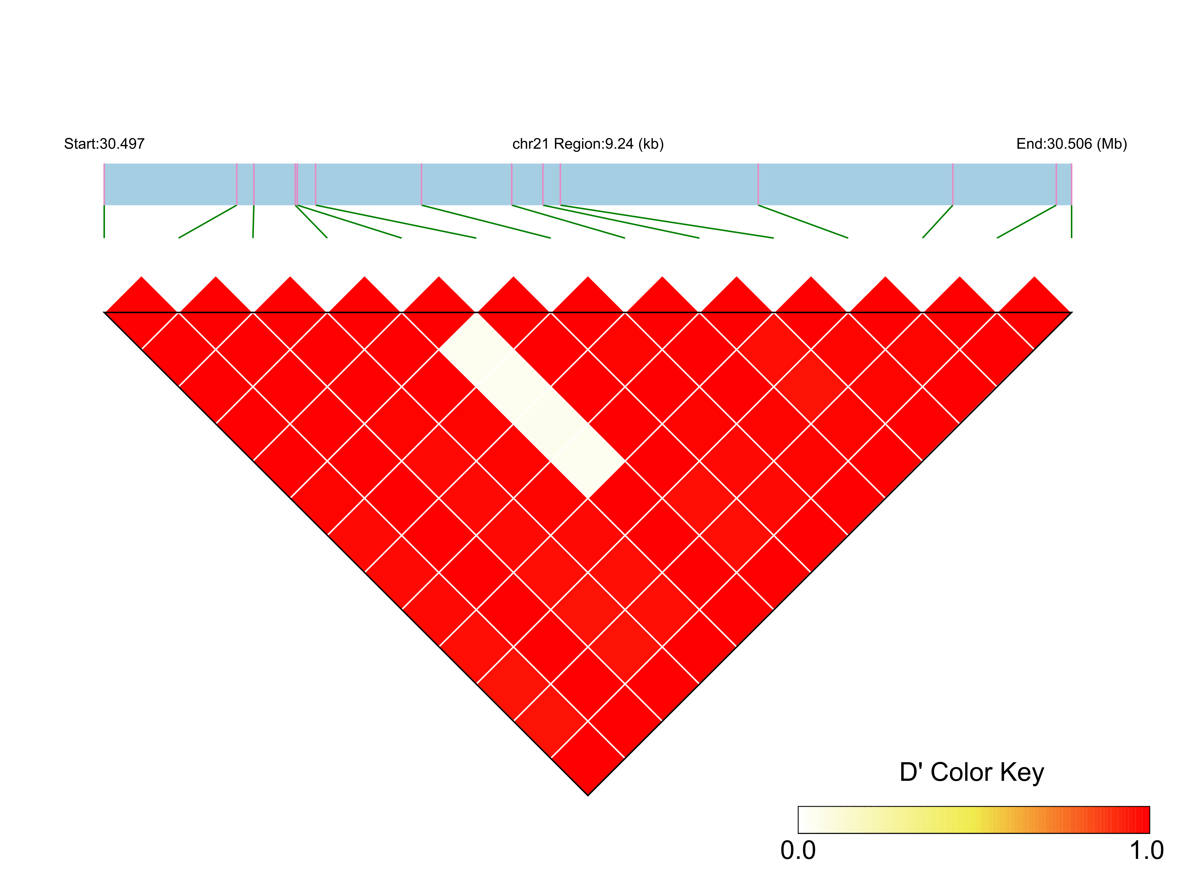 LD