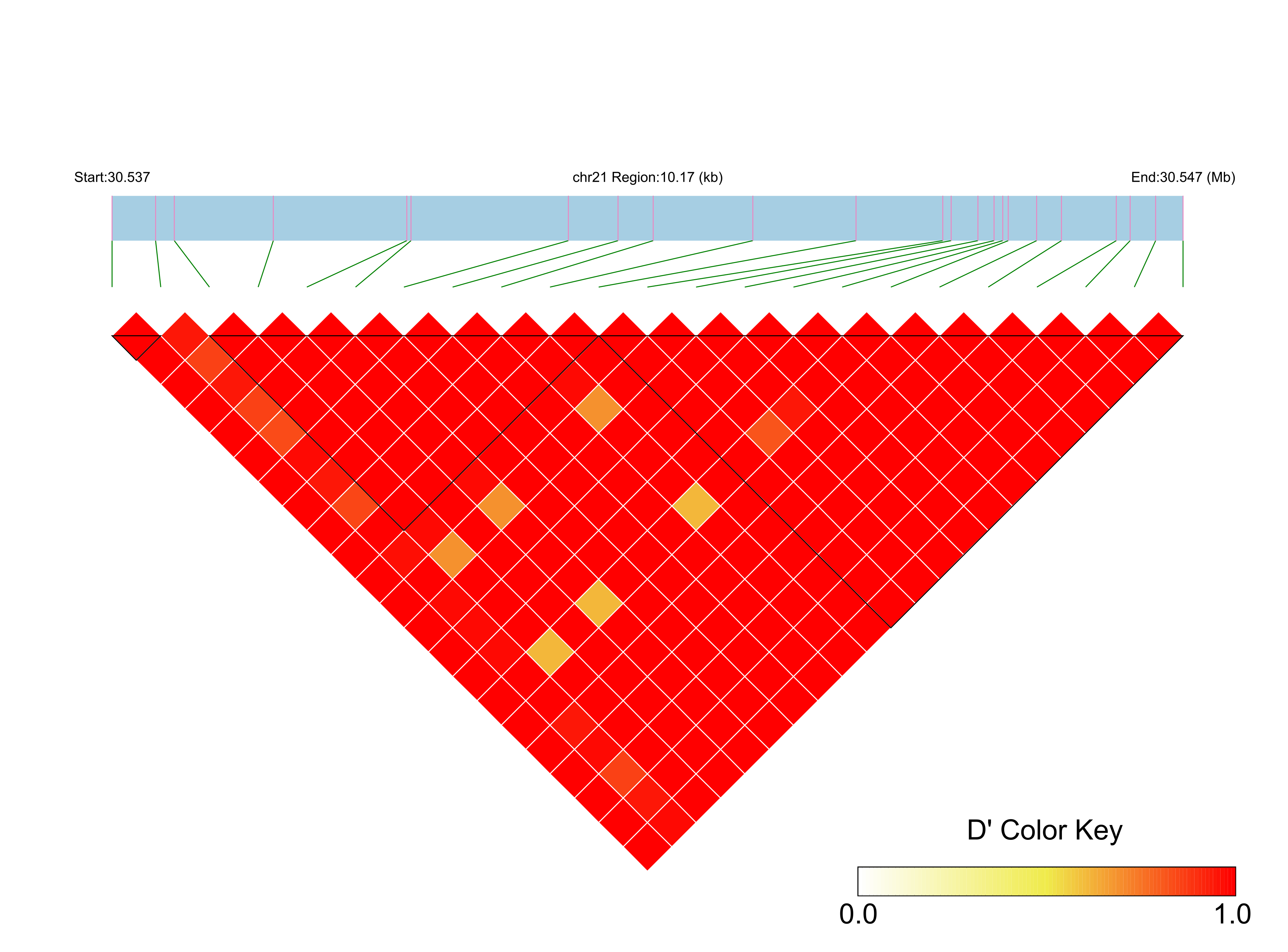 LD