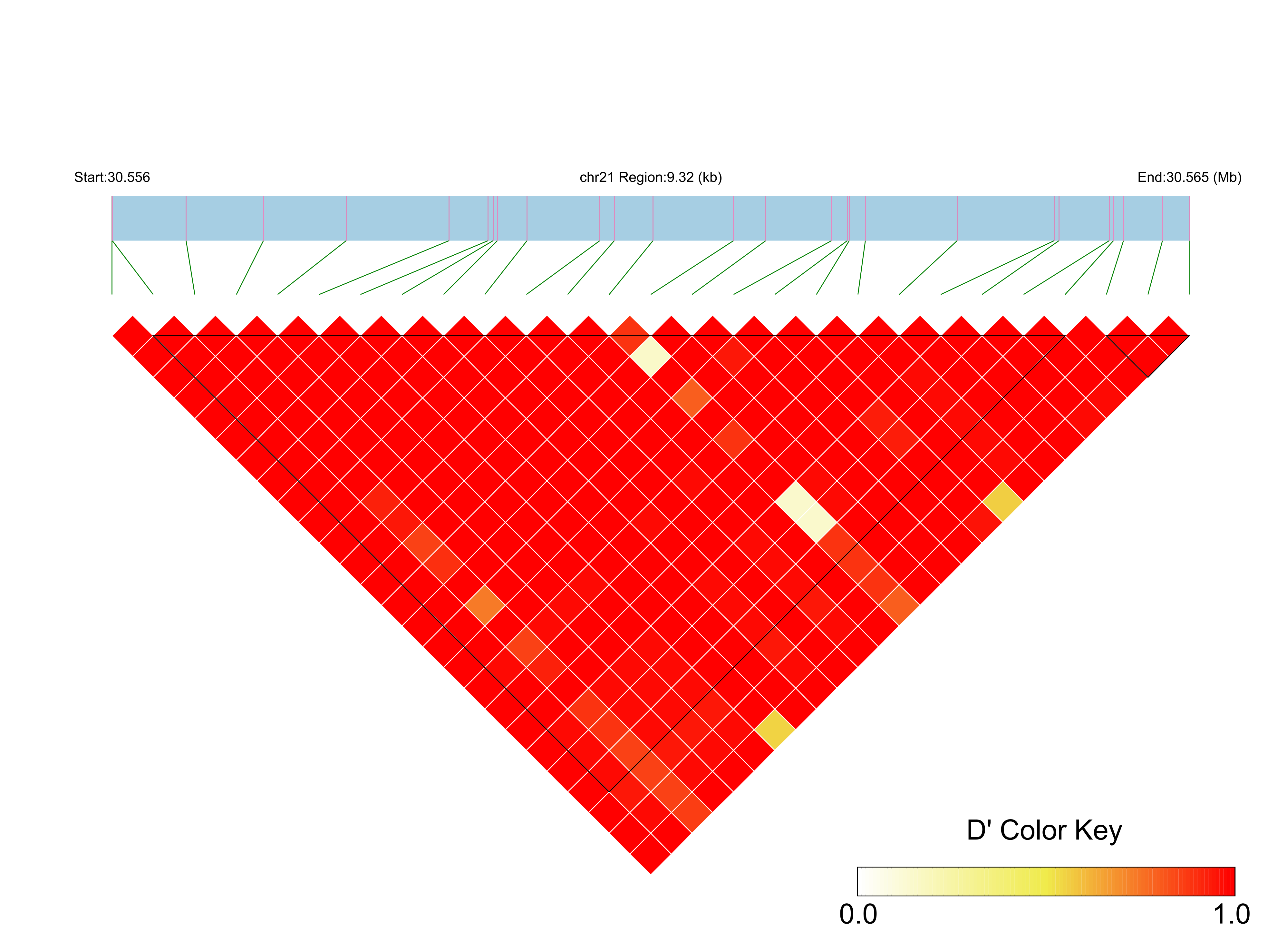 LD