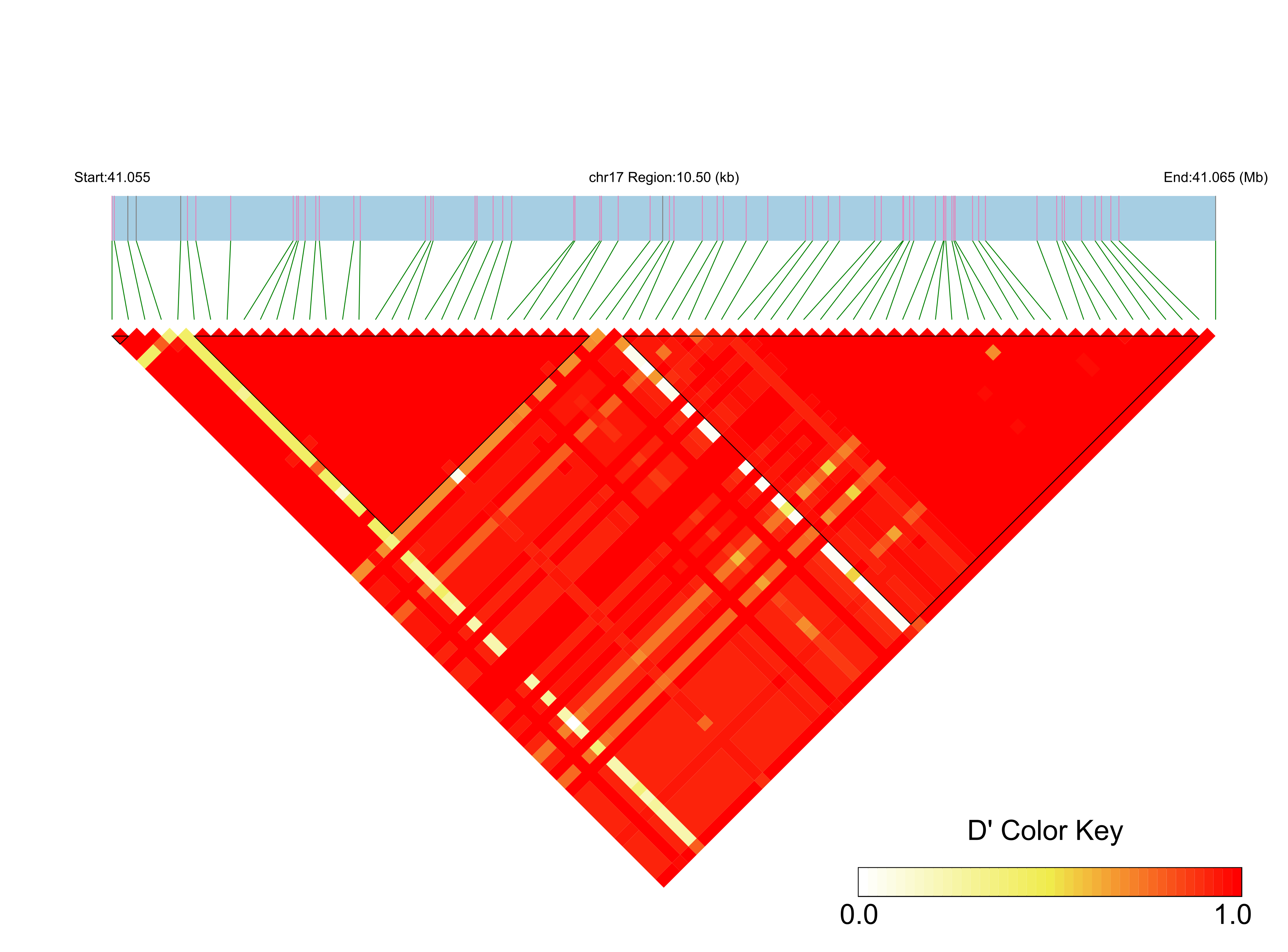 LD